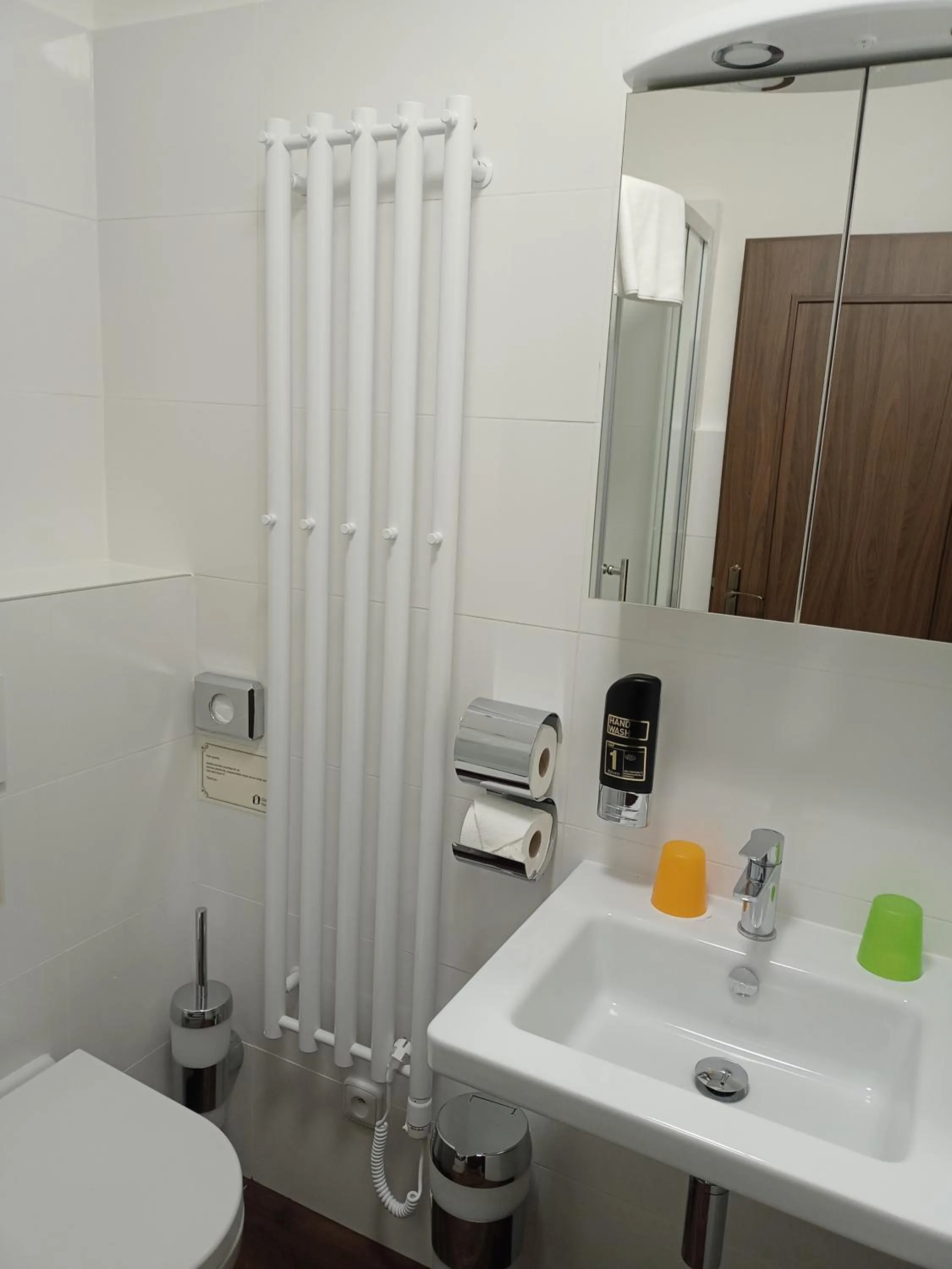 Toilet in Old Prague House