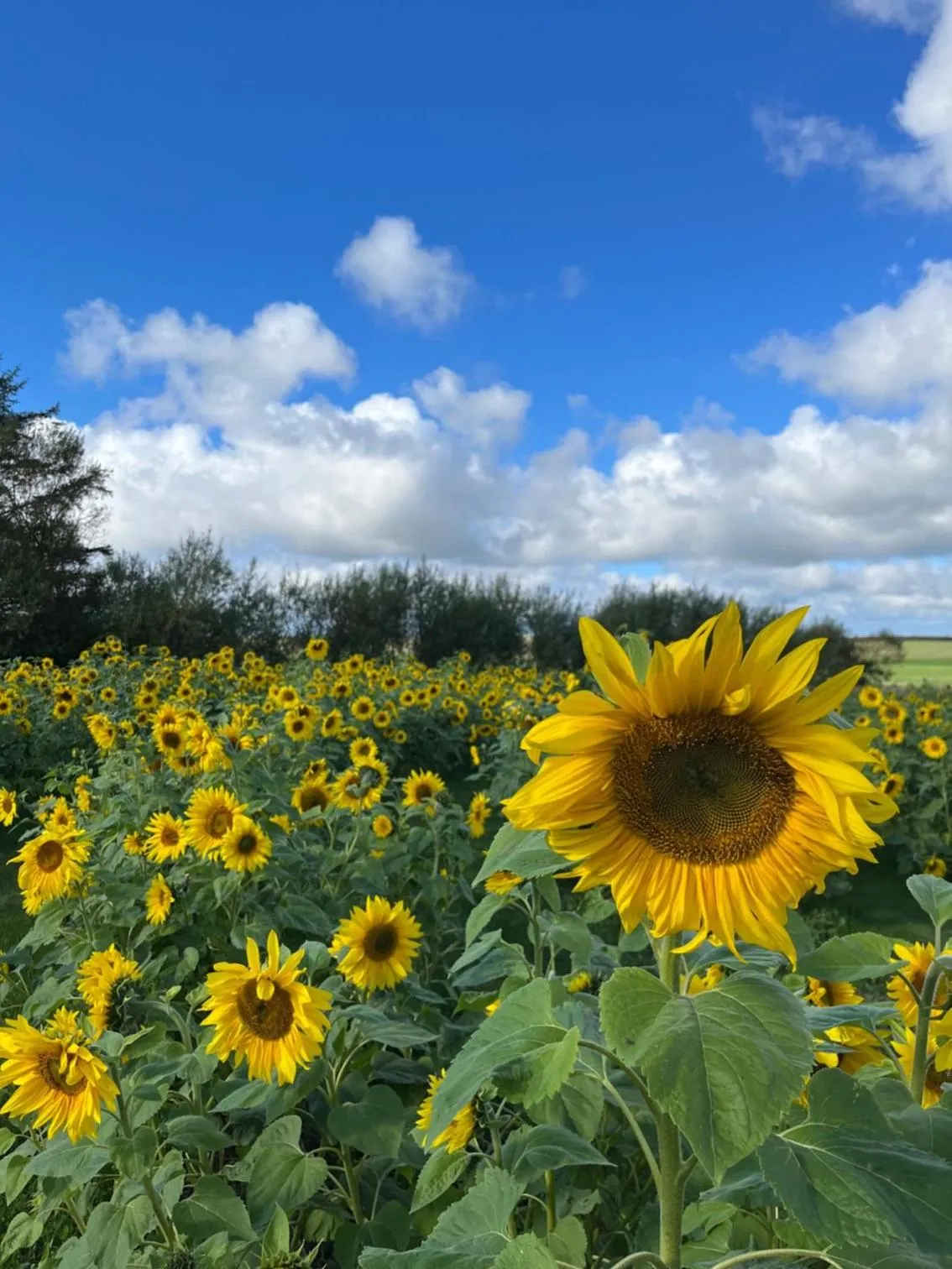 Room 6 - Hawkraft Kulturhotel