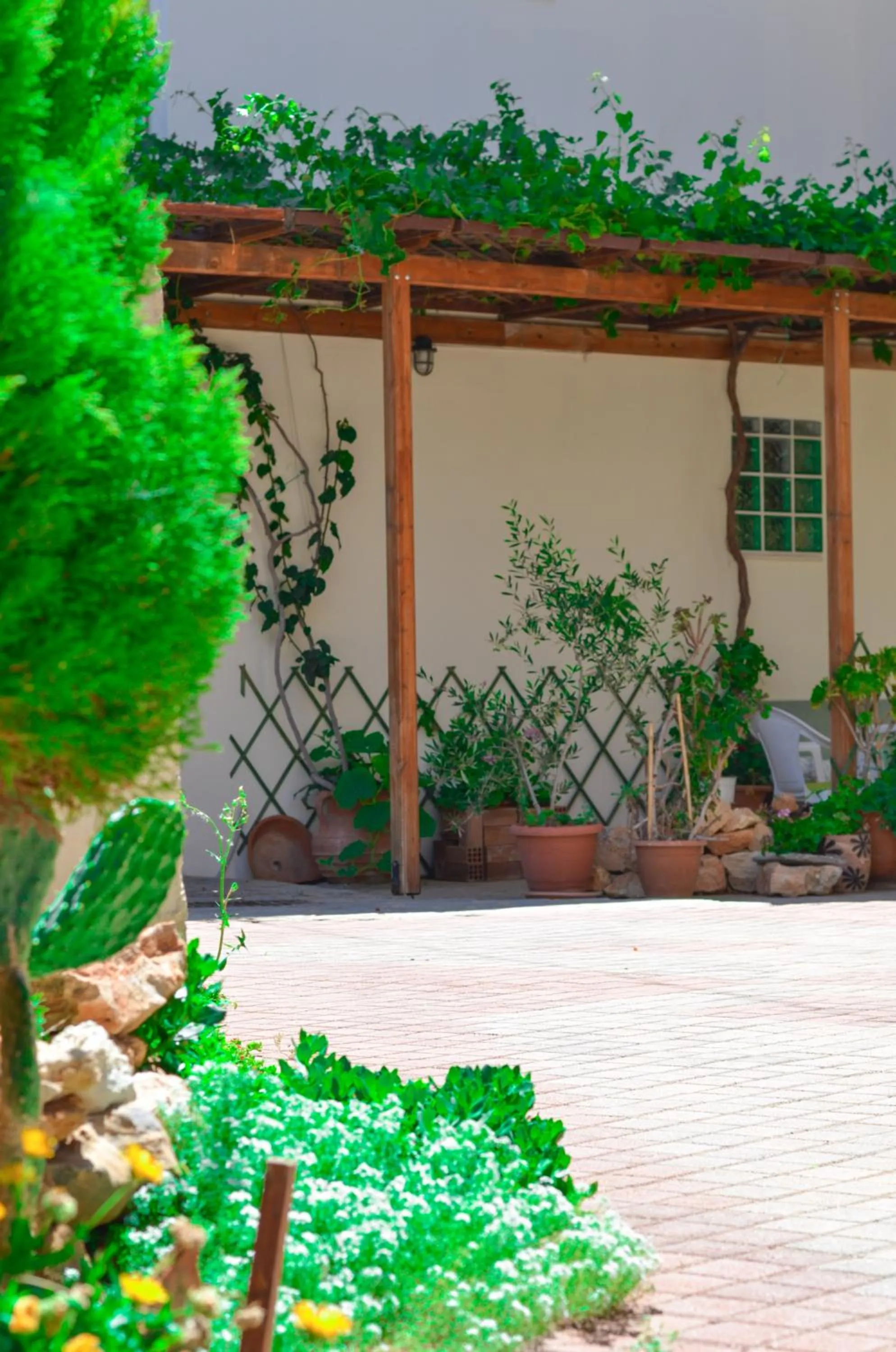 Patio in Home Suites