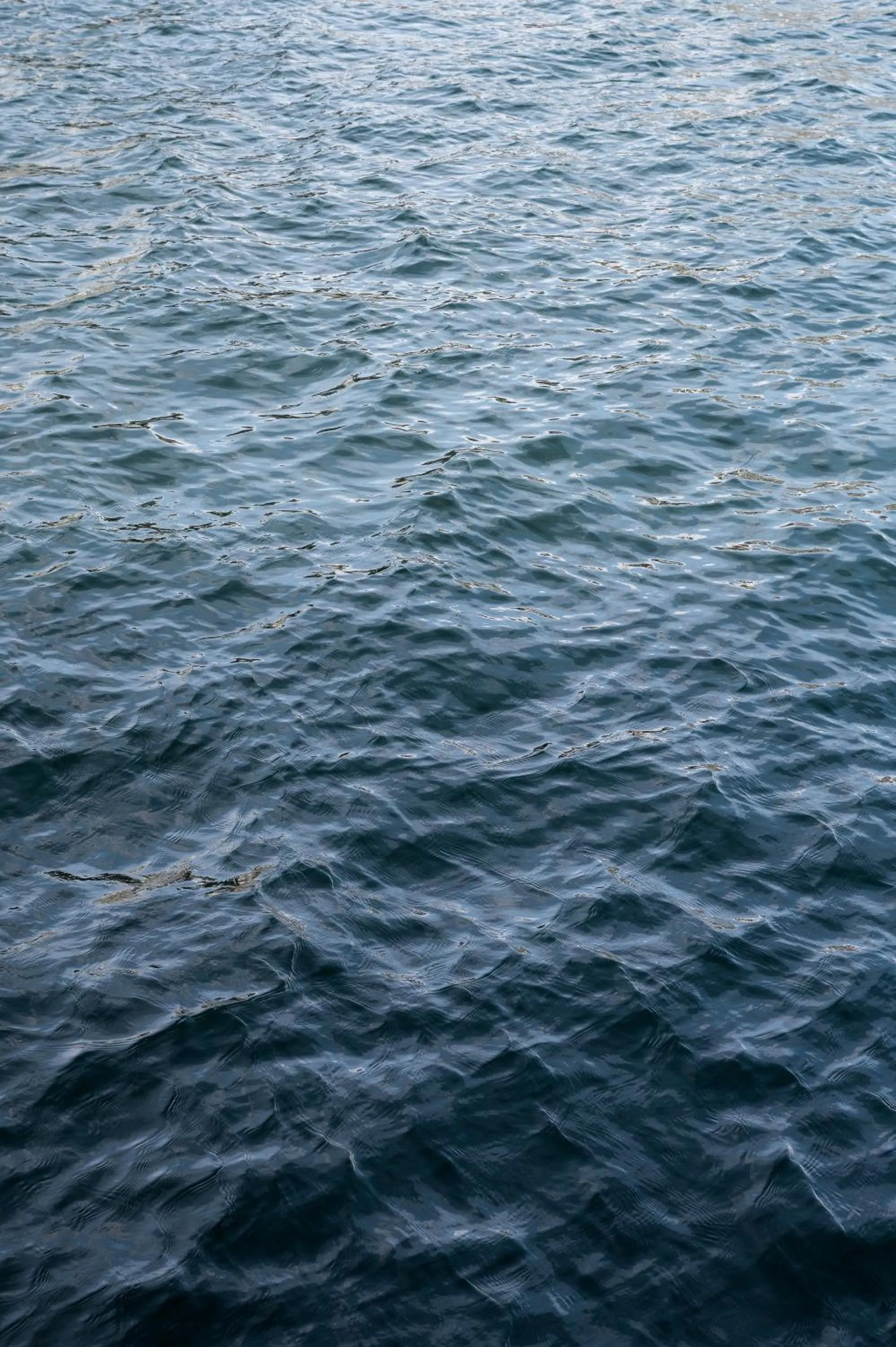 Other in The Pier Ateliers by Daniel&Jacob's