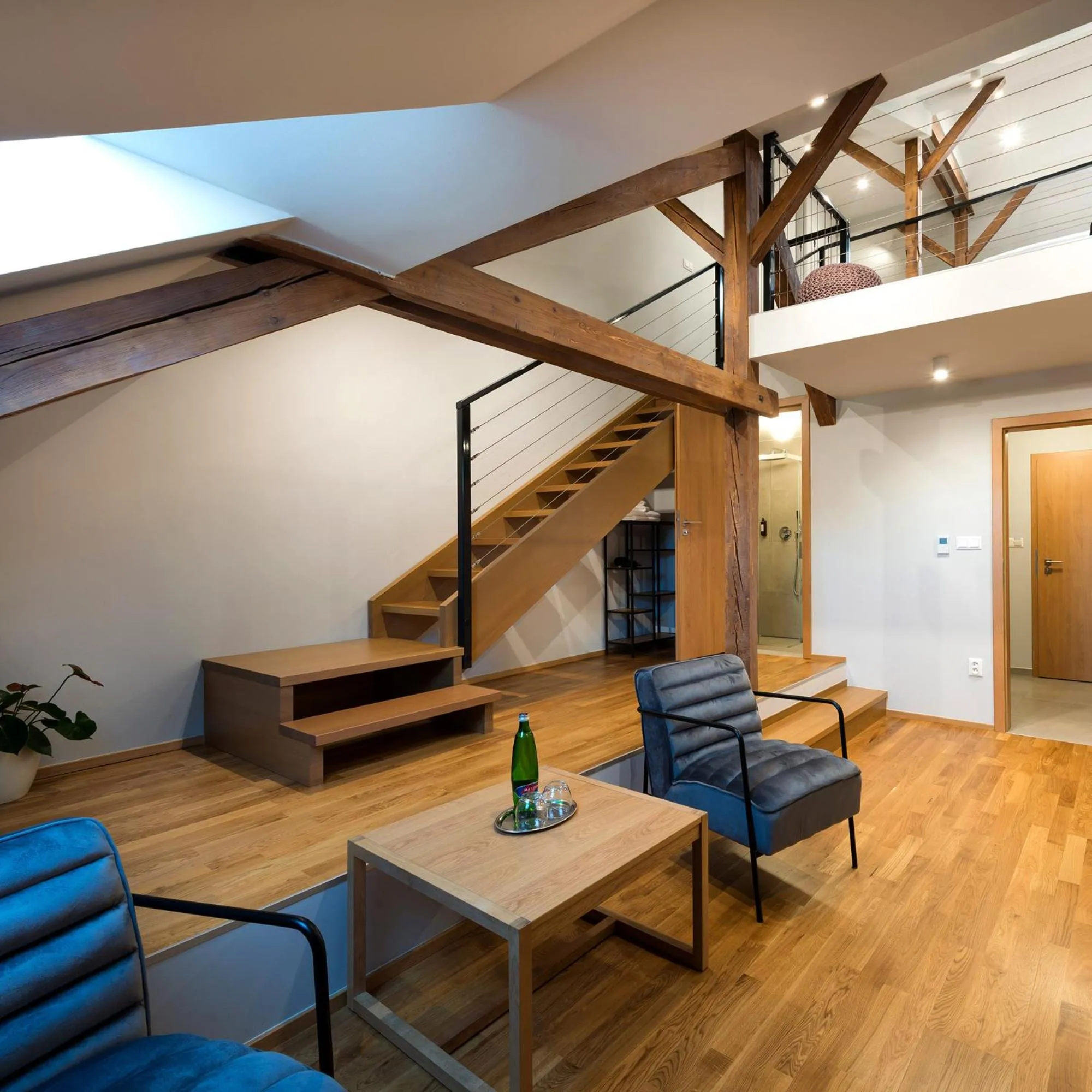 Studio - single occupancy - Split Level in Hotel Tři knížata