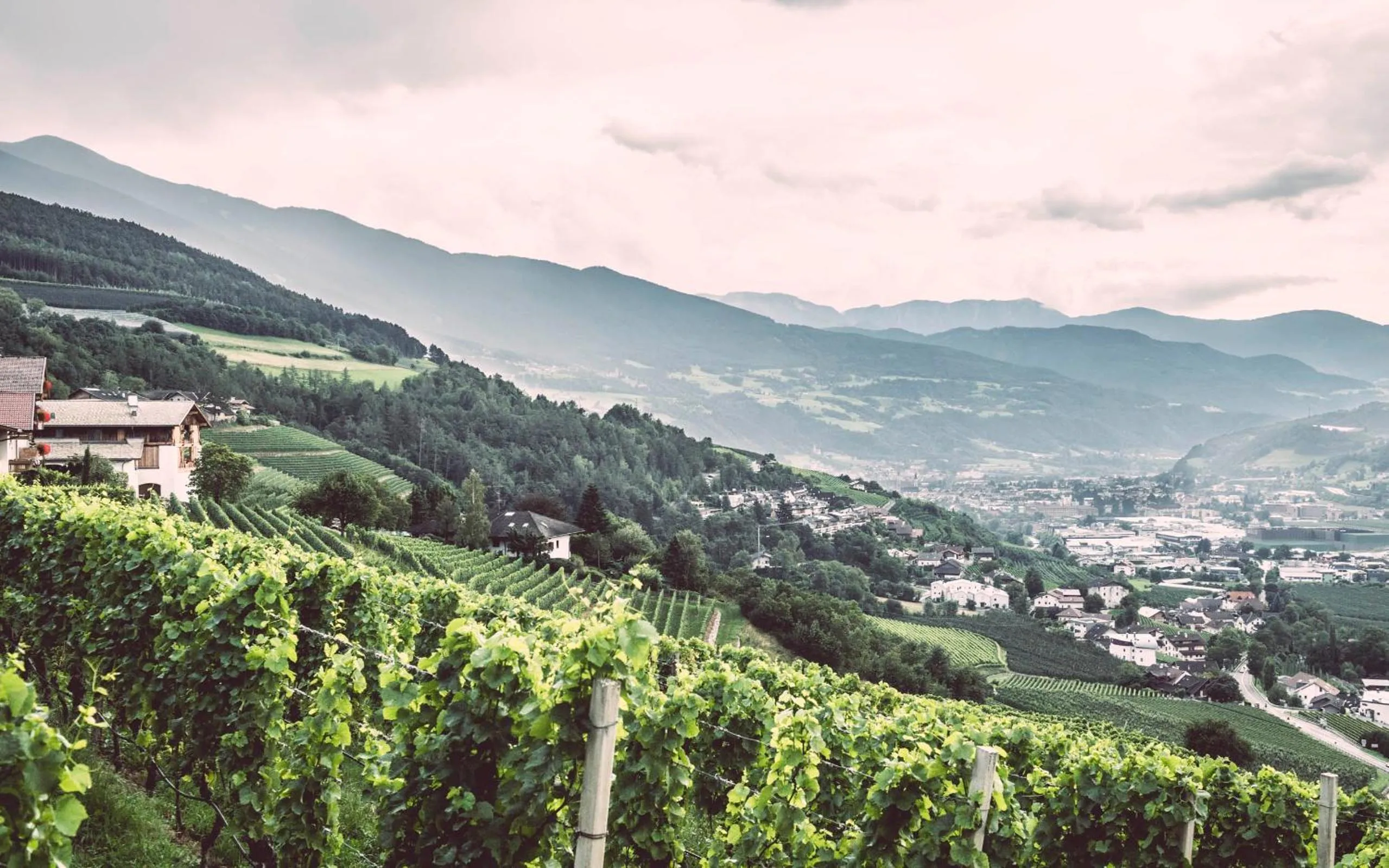 Hiking in ADLER Historic Guesthouse