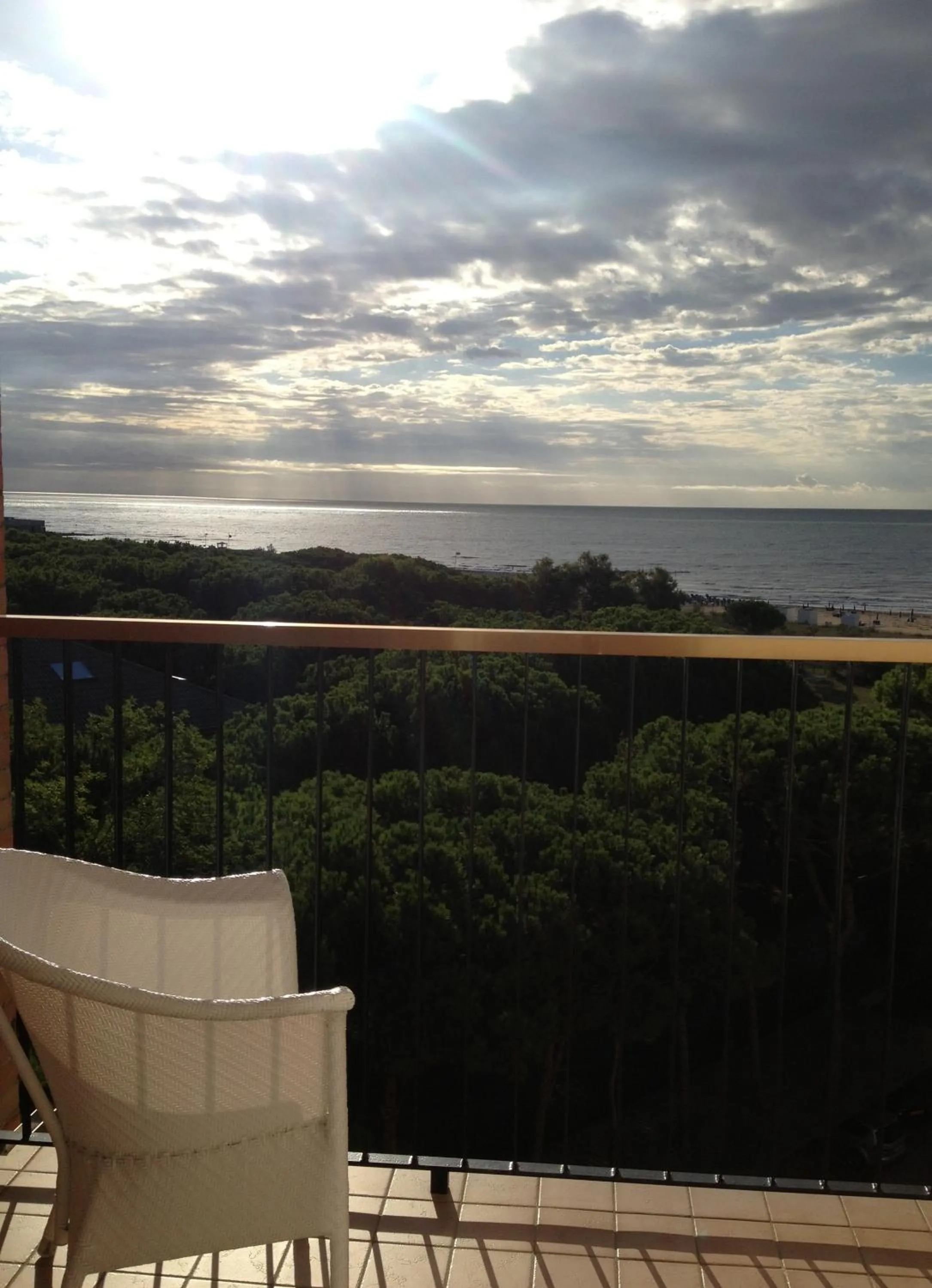 View (from property/room) in Hotel Beau Rivage Pineta