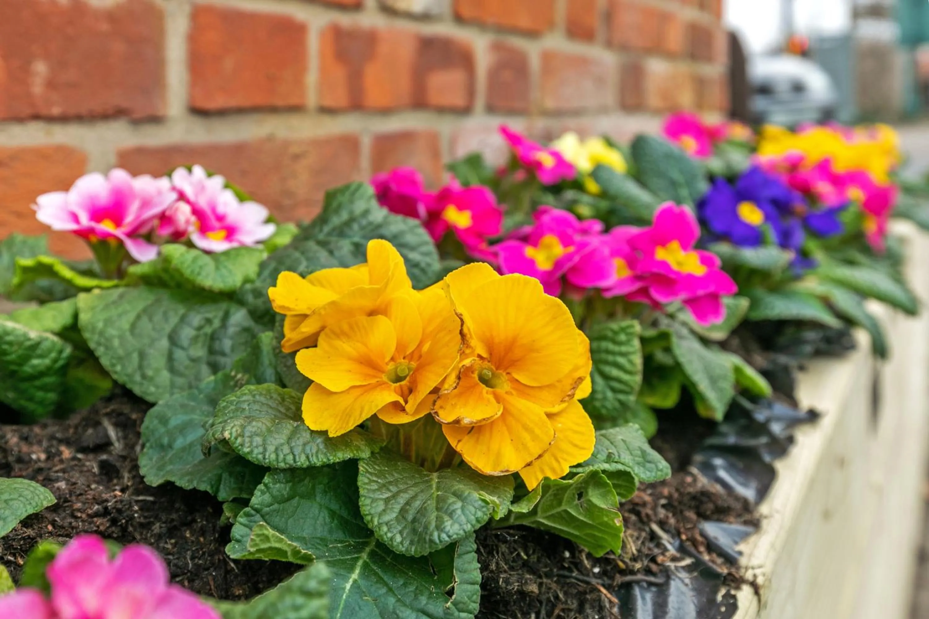 Property building in The Nestle House