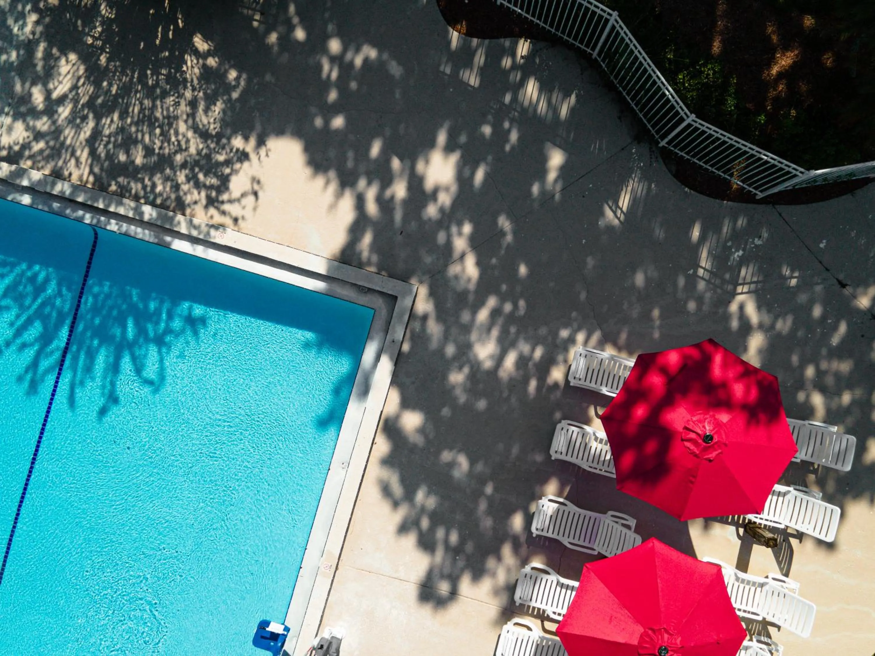 Swimming pool in Baymont by Wyndham Orlando Lake Buena Vista South
