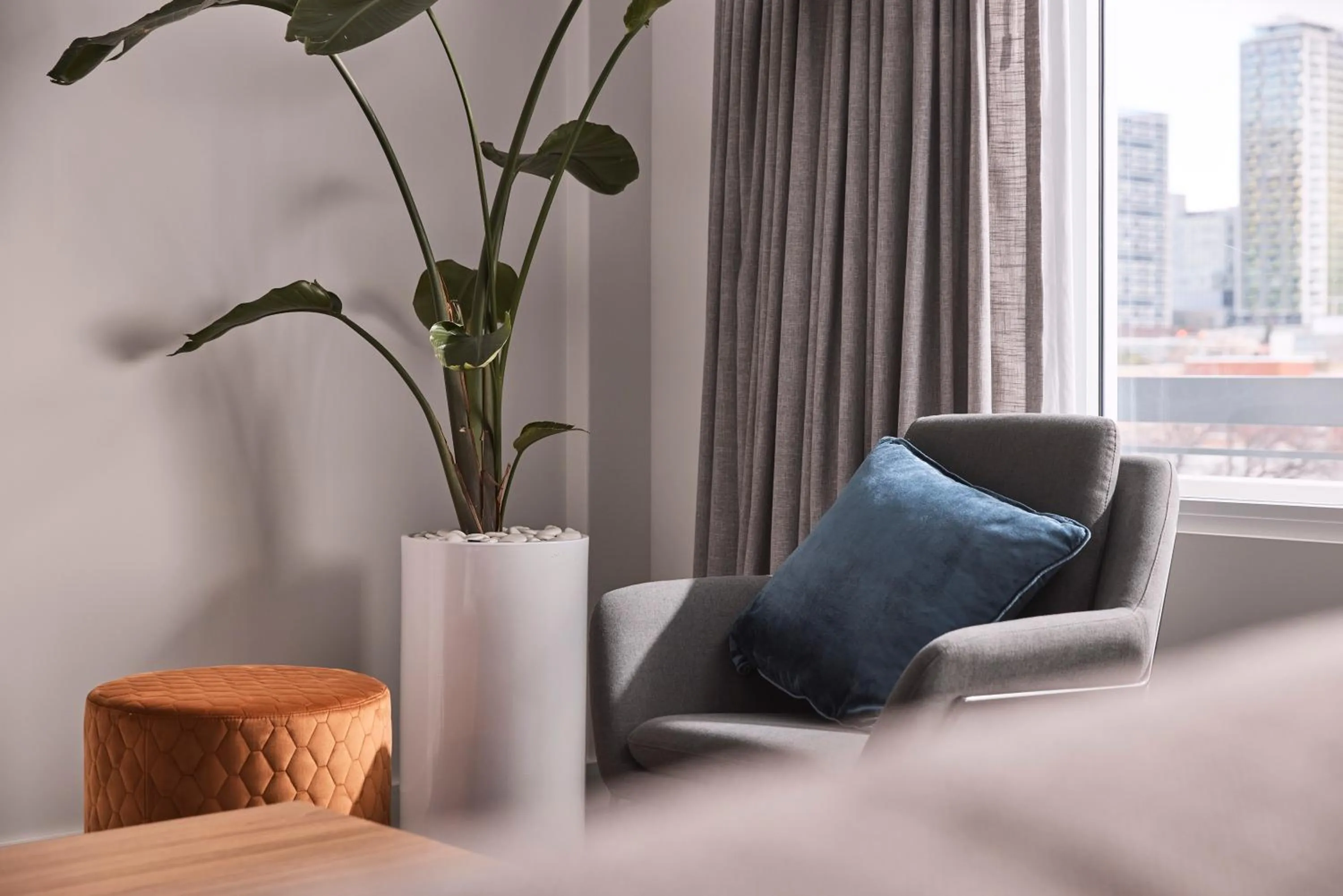 Seating area in Hotel Alba Adelaide