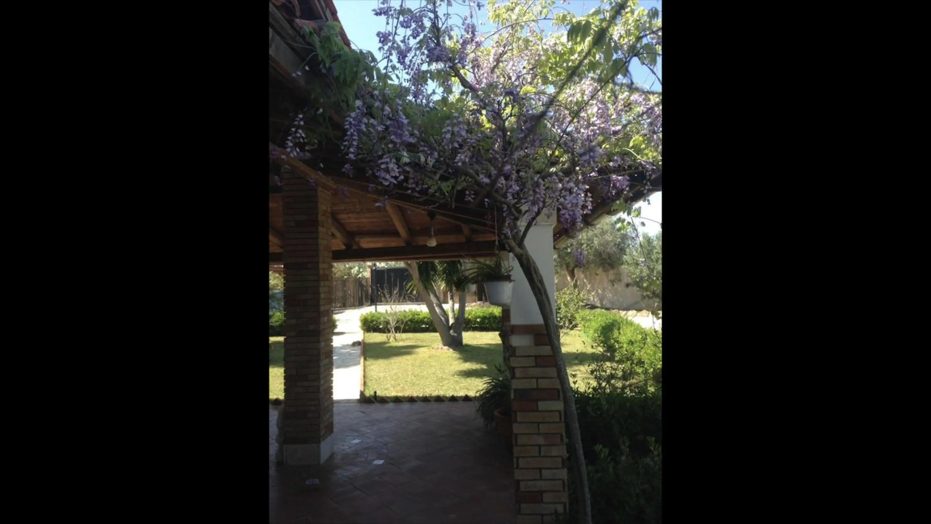 Garden in B&B Il Mandorleto Avola