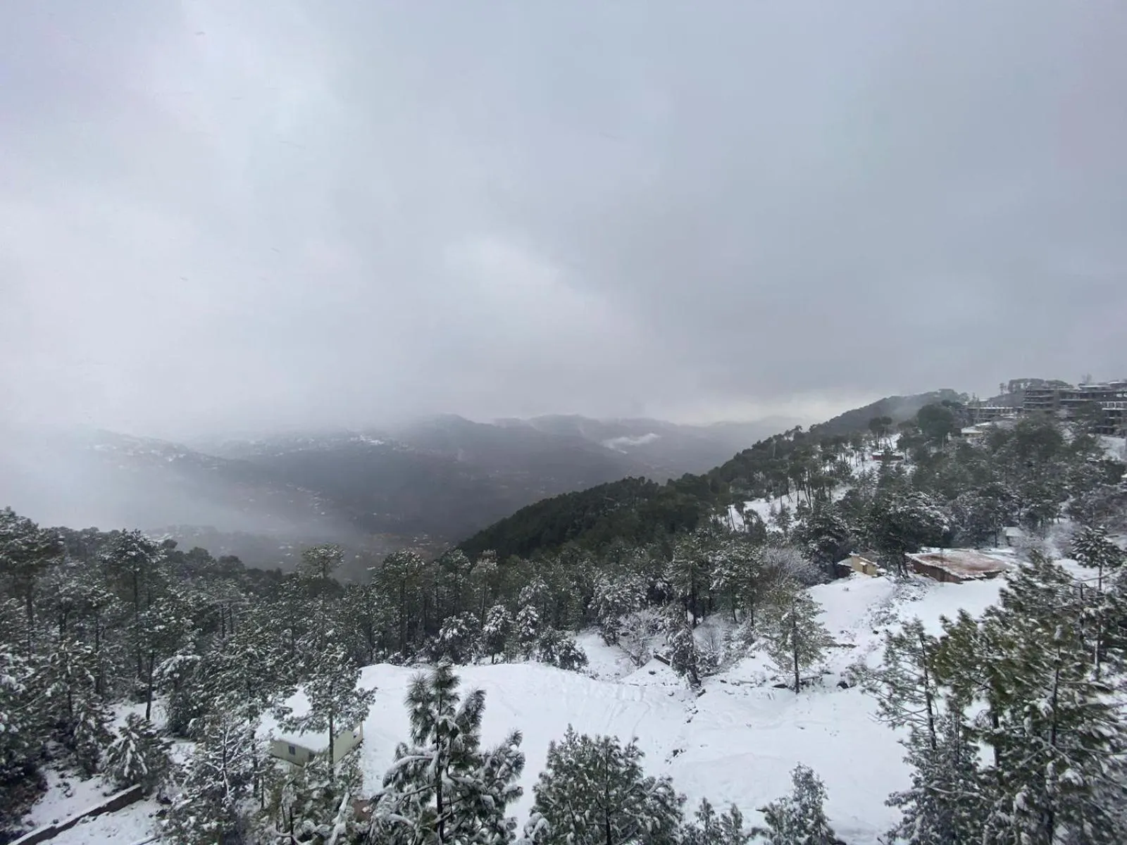 Natural landscape in AK Hotel & Suites