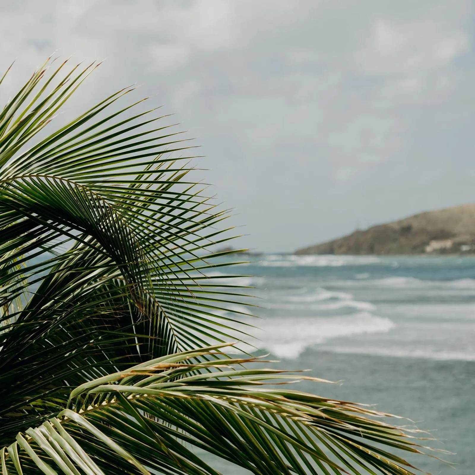 Natural landscape in Grapetree Bay Hotel and Villas