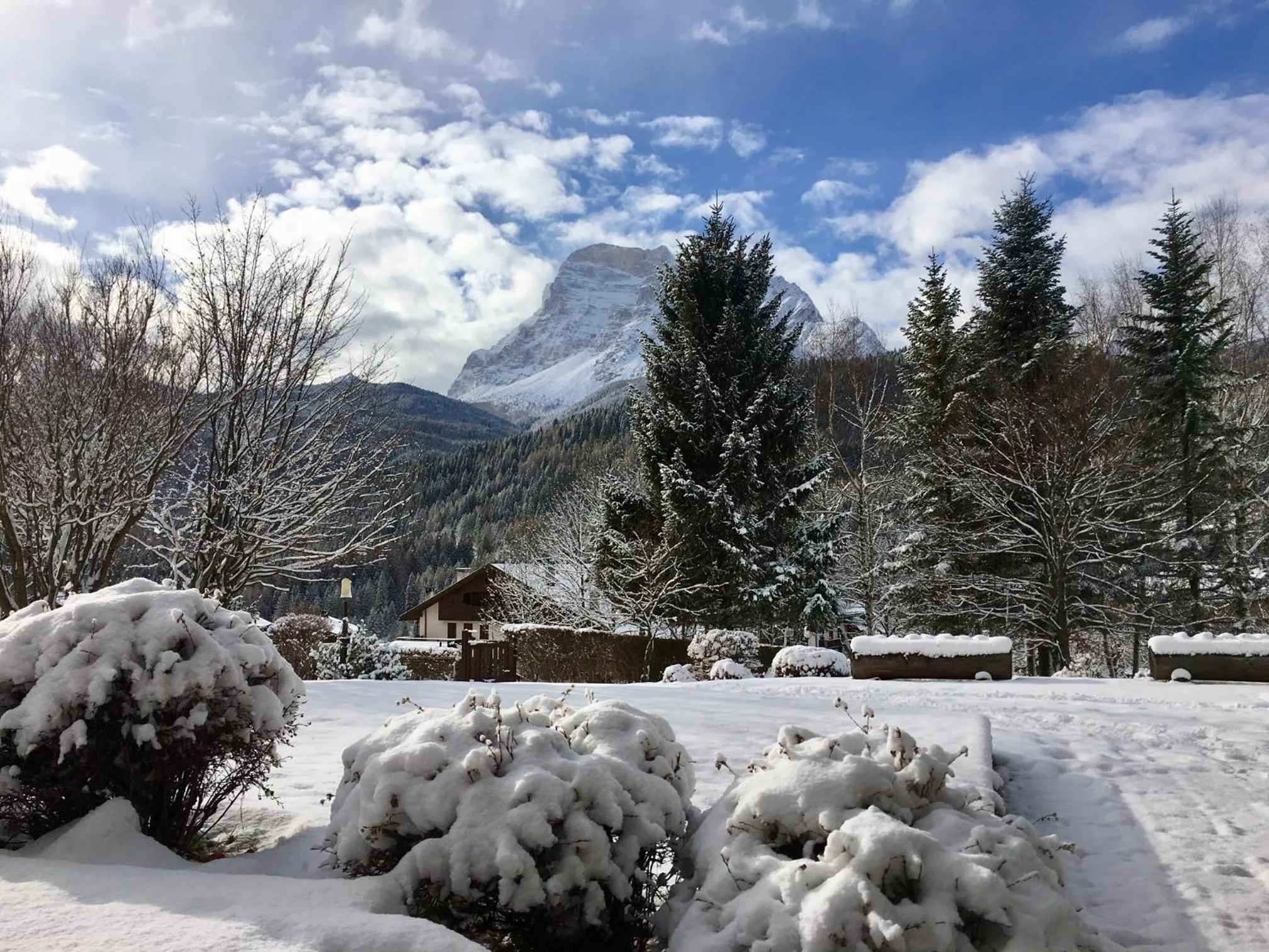 Garden in Parkhotel Ladinia