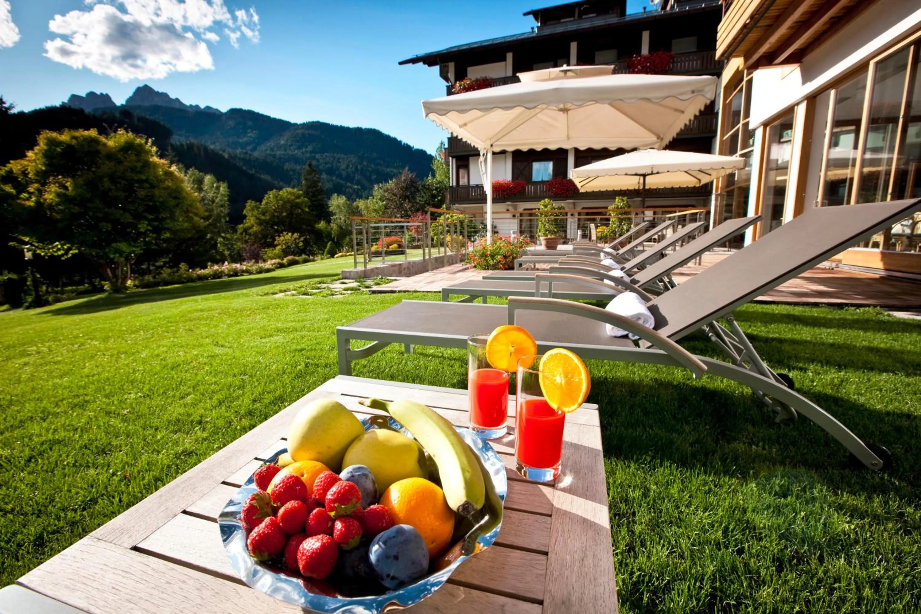 Garden in Parkhotel Ladinia