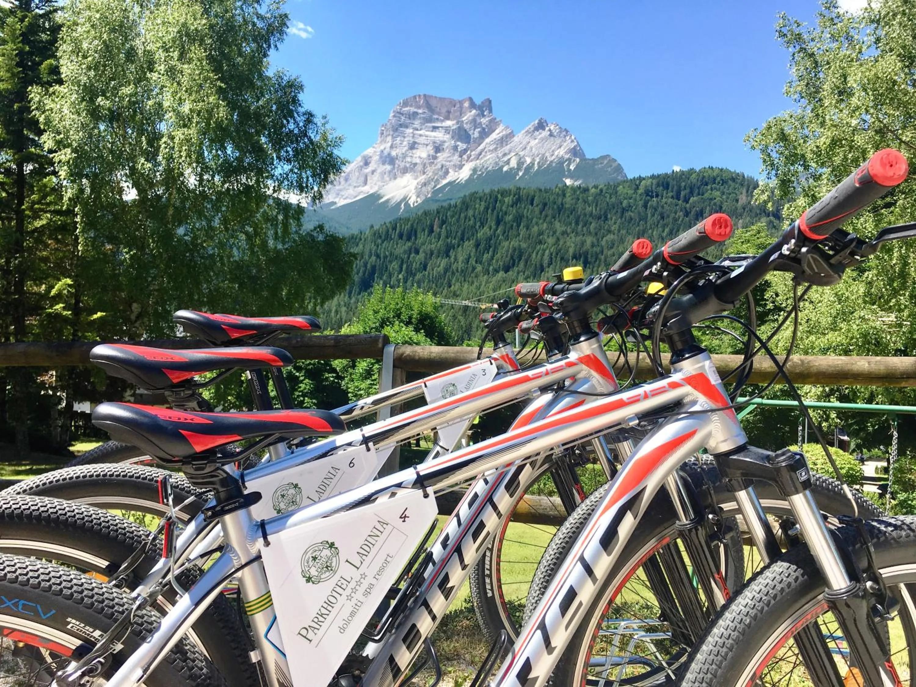 Activities in Parkhotel Ladinia