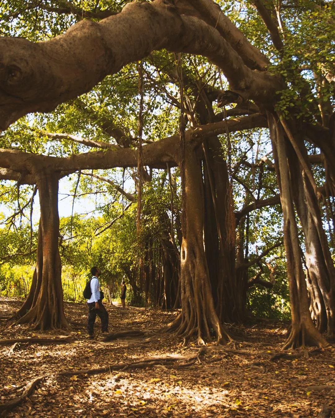 Natural landscape in La Playita Isla Fuerte