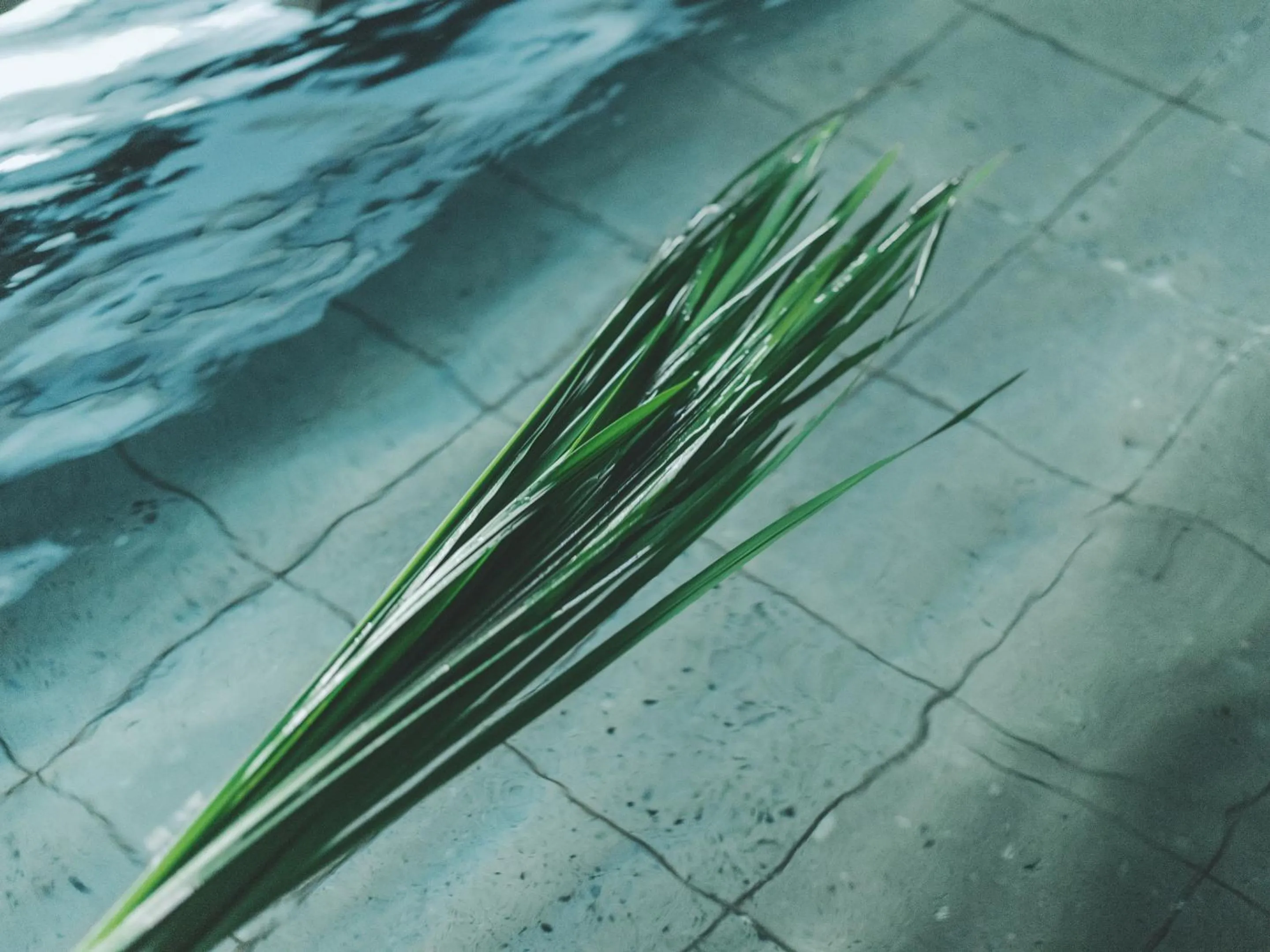 Public Bath in SOKI Kanazawa