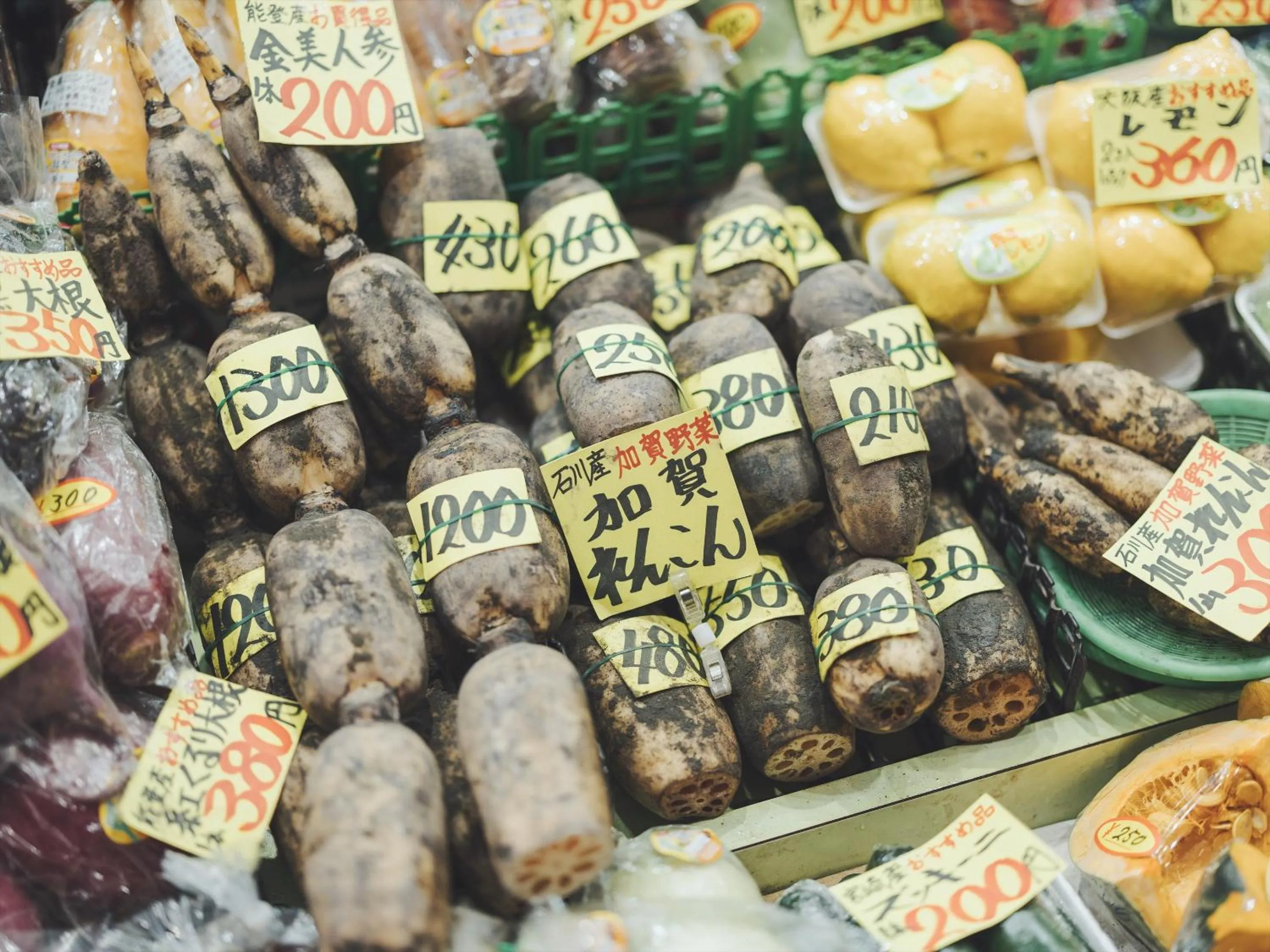 Nearby landmark in SOKI Kanazawa