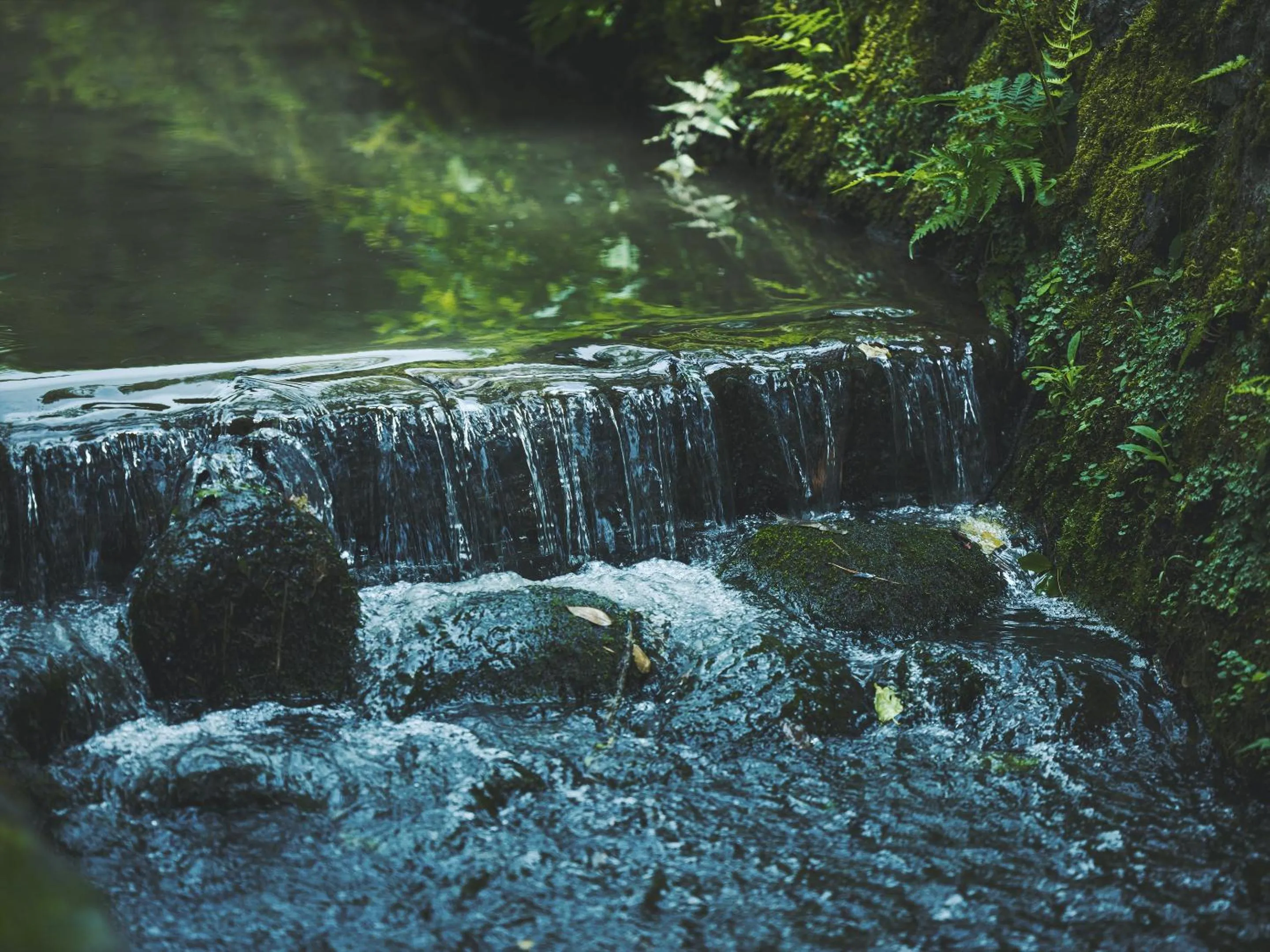 Natural landscape in SOKI Kanazawa