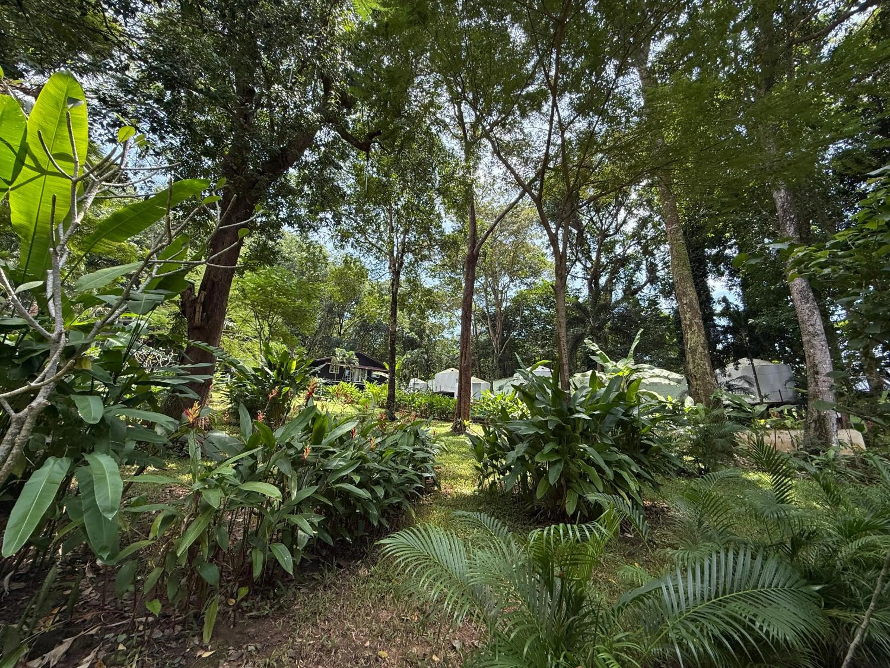 Garden in Vanara Bungalows