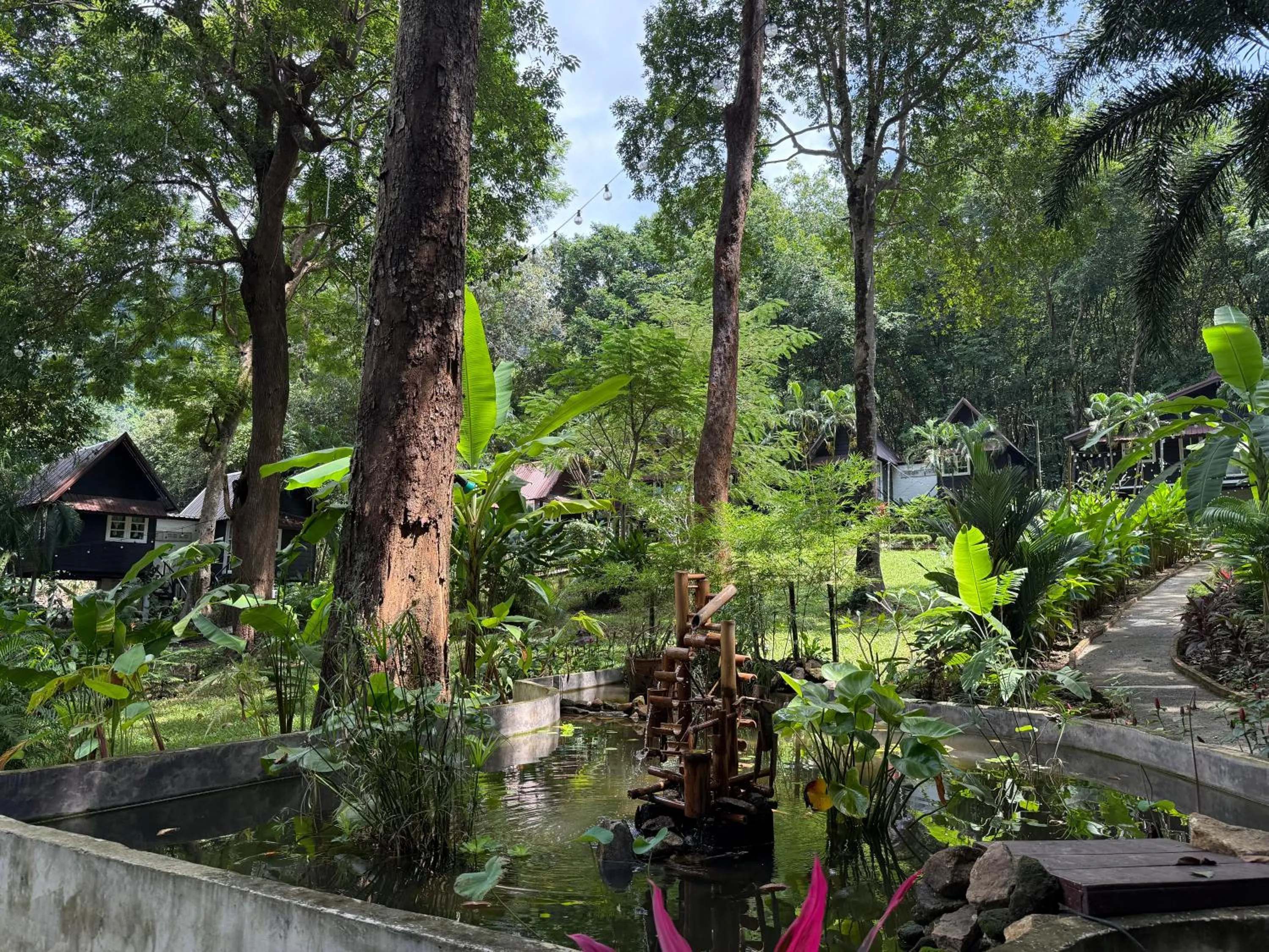 Garden view in Vanara Bungalows
