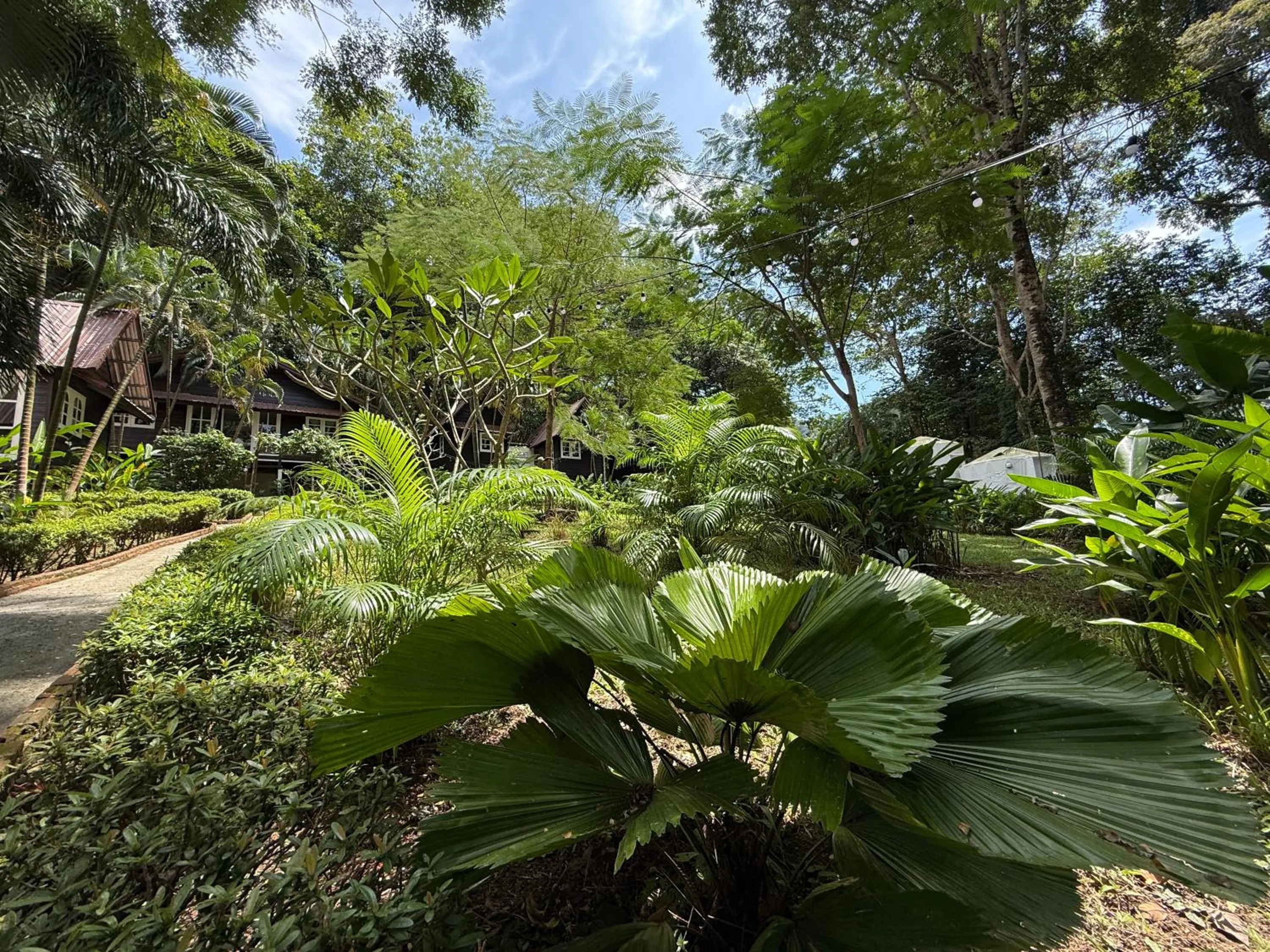 Garden view in Vanara Bungalows