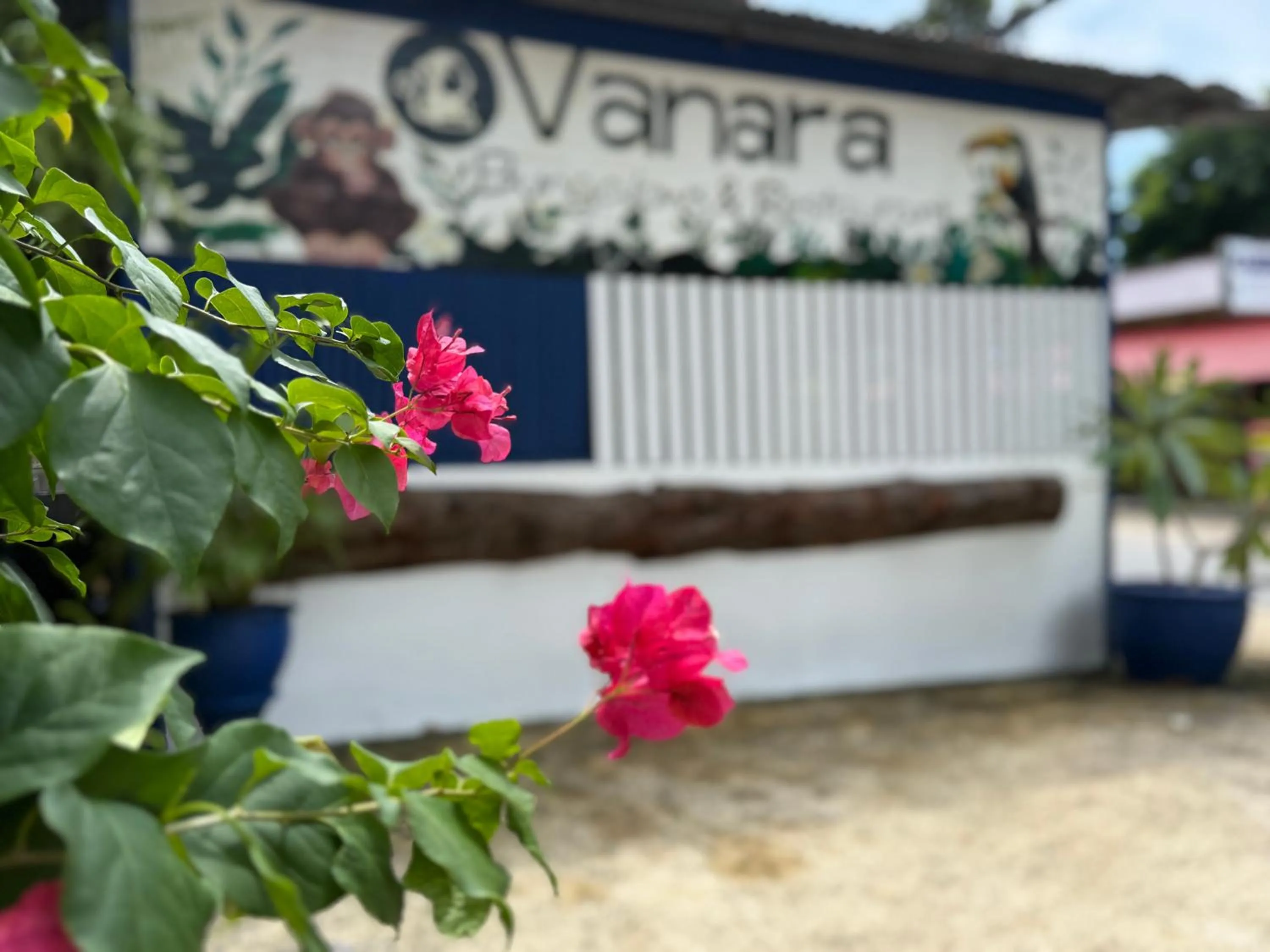 Street view in Vanara Bungalows