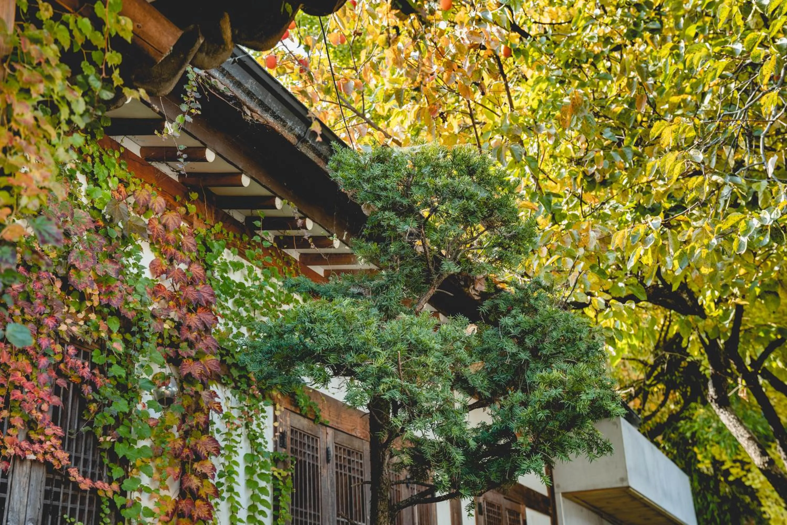 HotelArrive Jeonju Sihwayeonpung