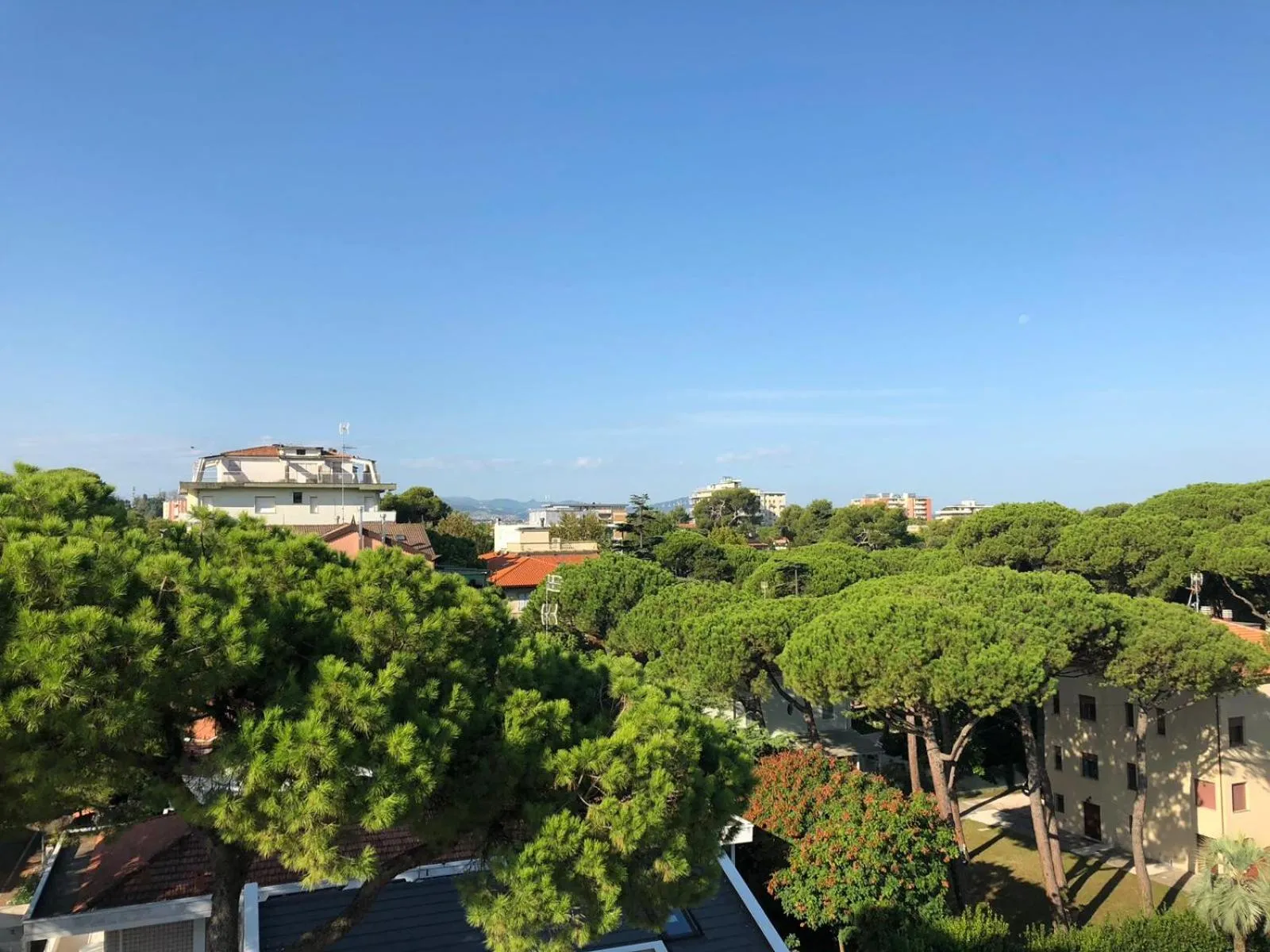 Neighbourhood in The One Hotel - Designed for Adults - Pet lovers