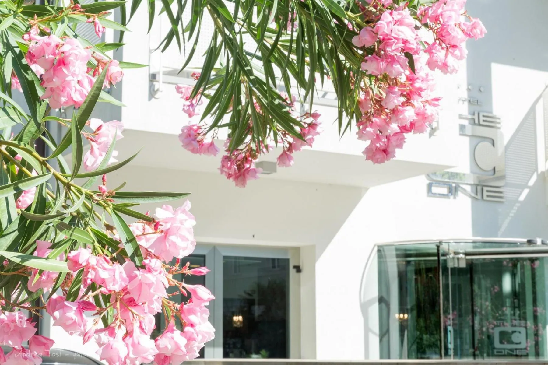 Facade/entrance in The One Hotel - Designed for Adults - Pet lovers