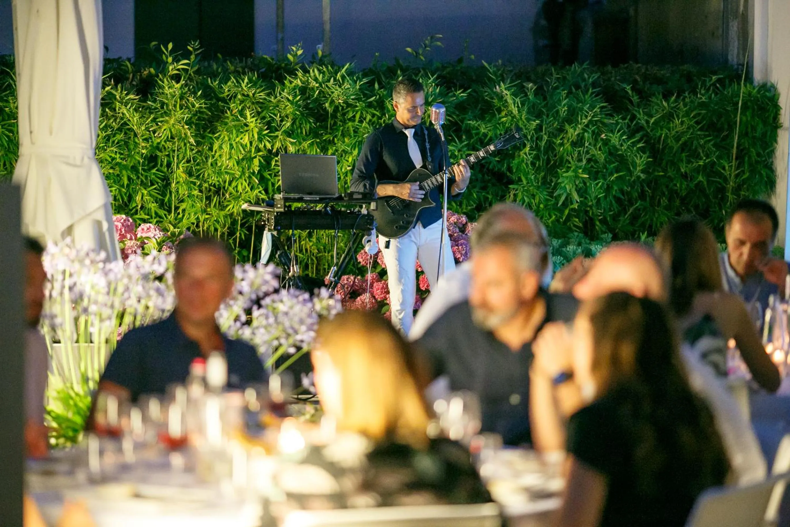 Activities in The One Hotel - Designed for Adults - Pet lovers