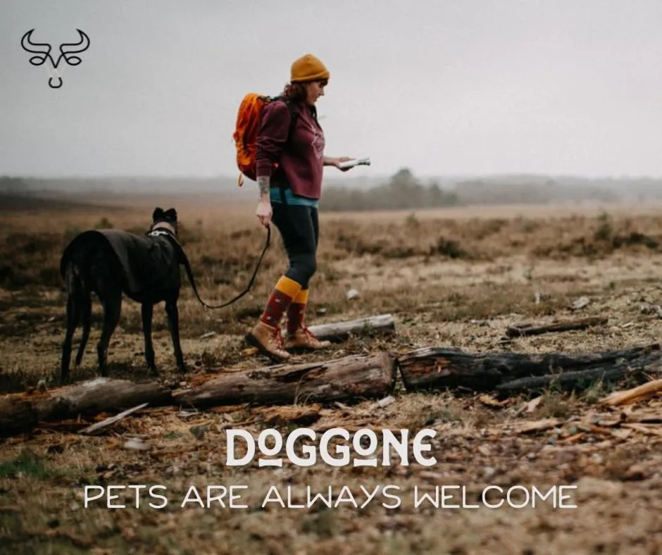 Animals in The Westerner - Extended Stay