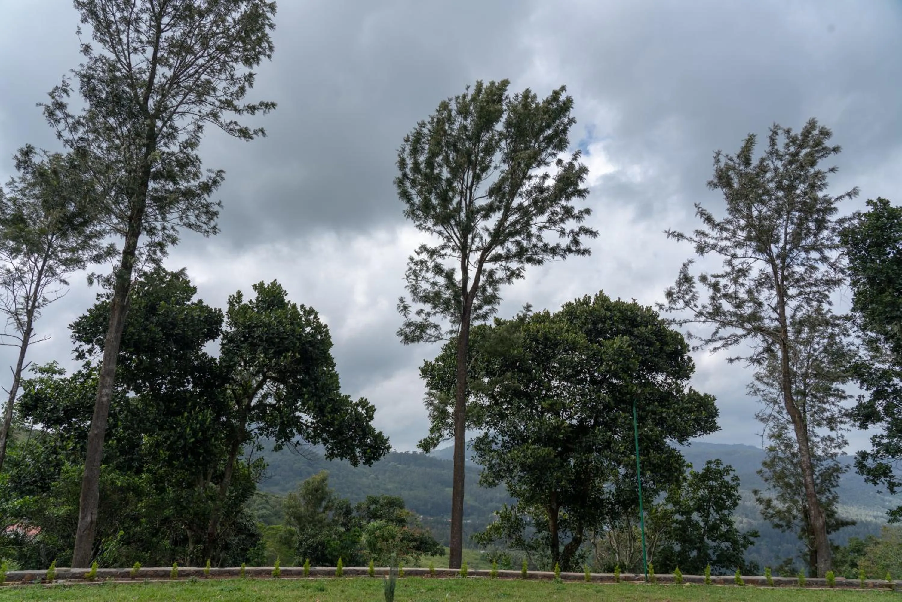 Natural landscape in The Inglewood Bungalow