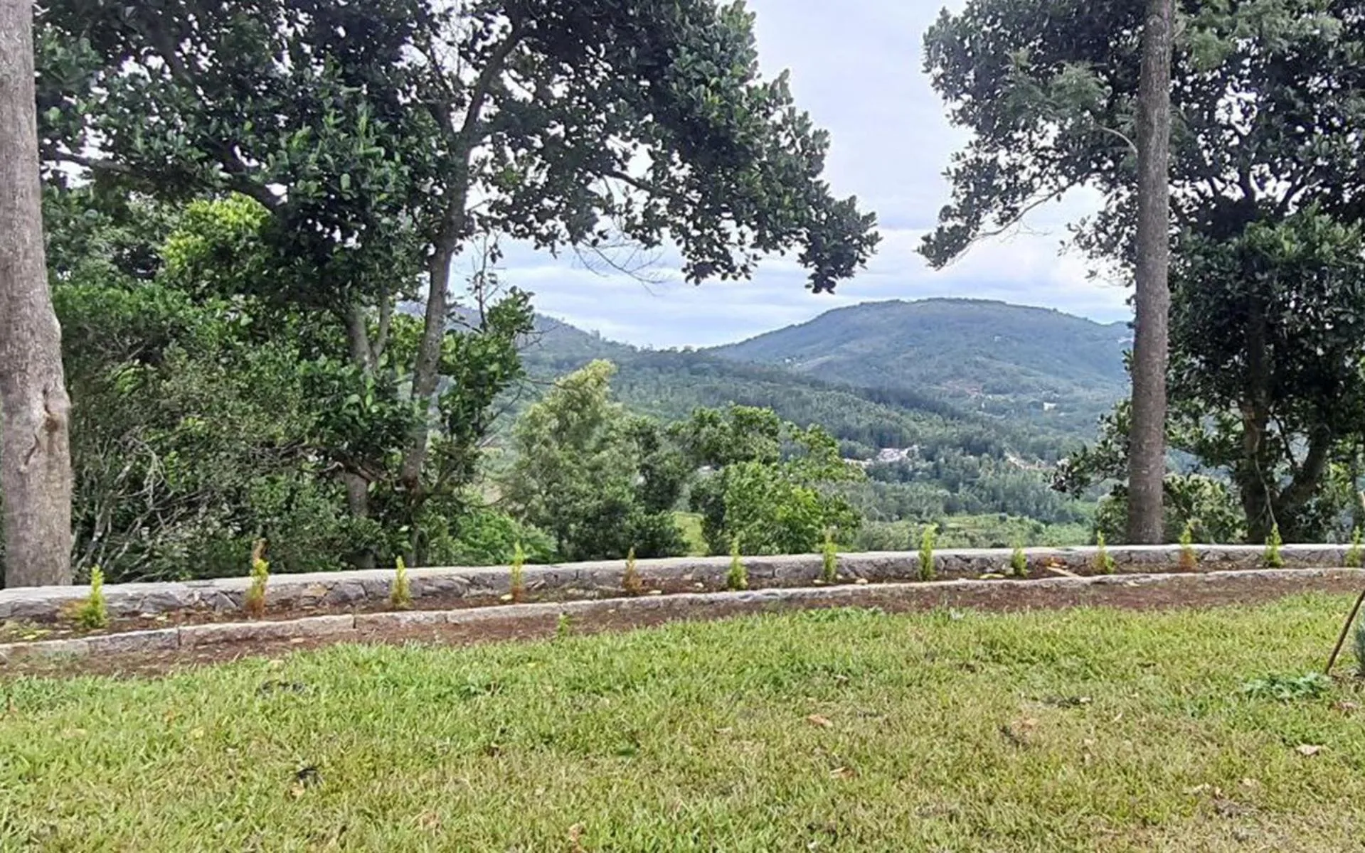 Day in The Inglewood Bungalow