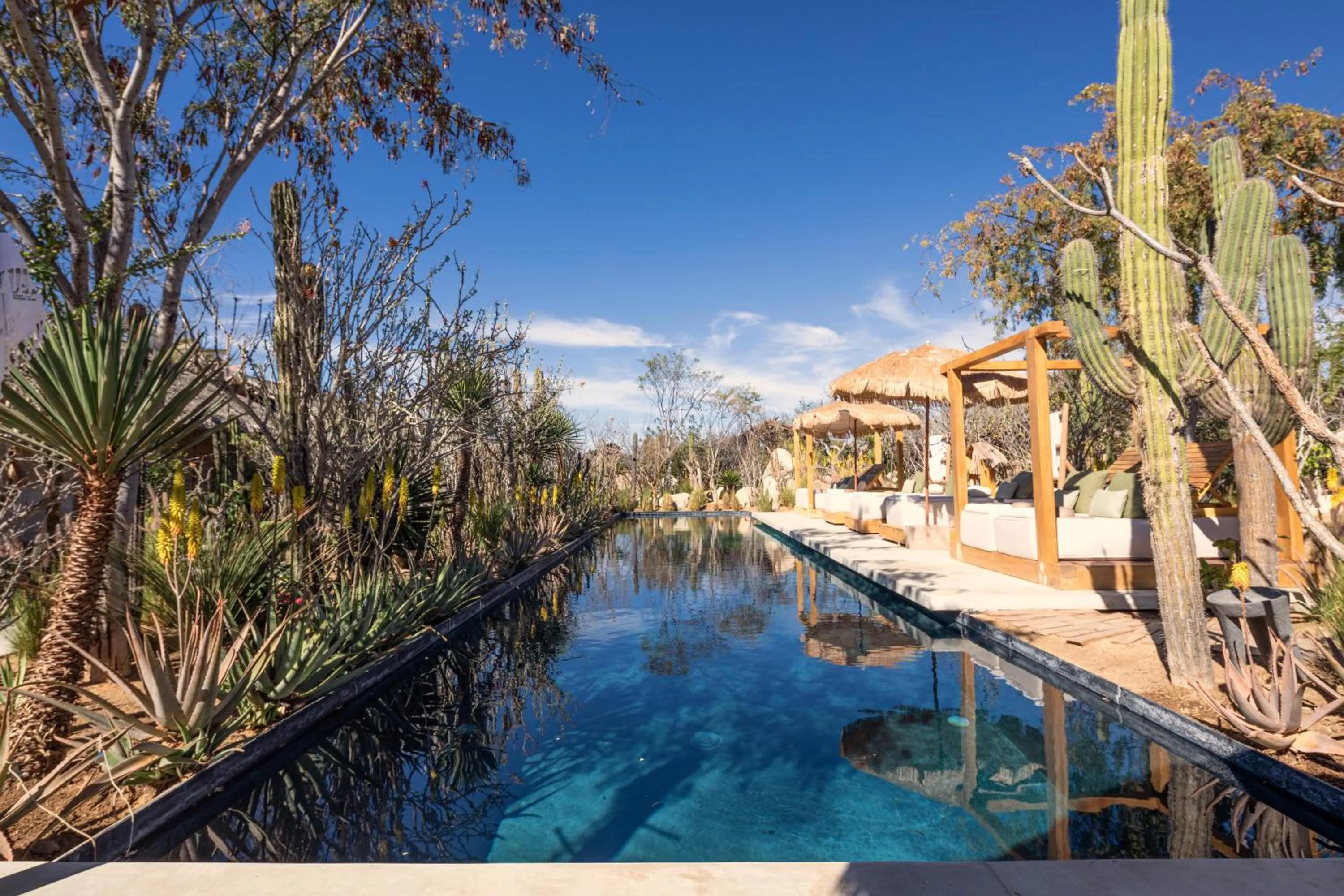 Pool view in El Perdido Desert Dream- Todos Santos Adults Only