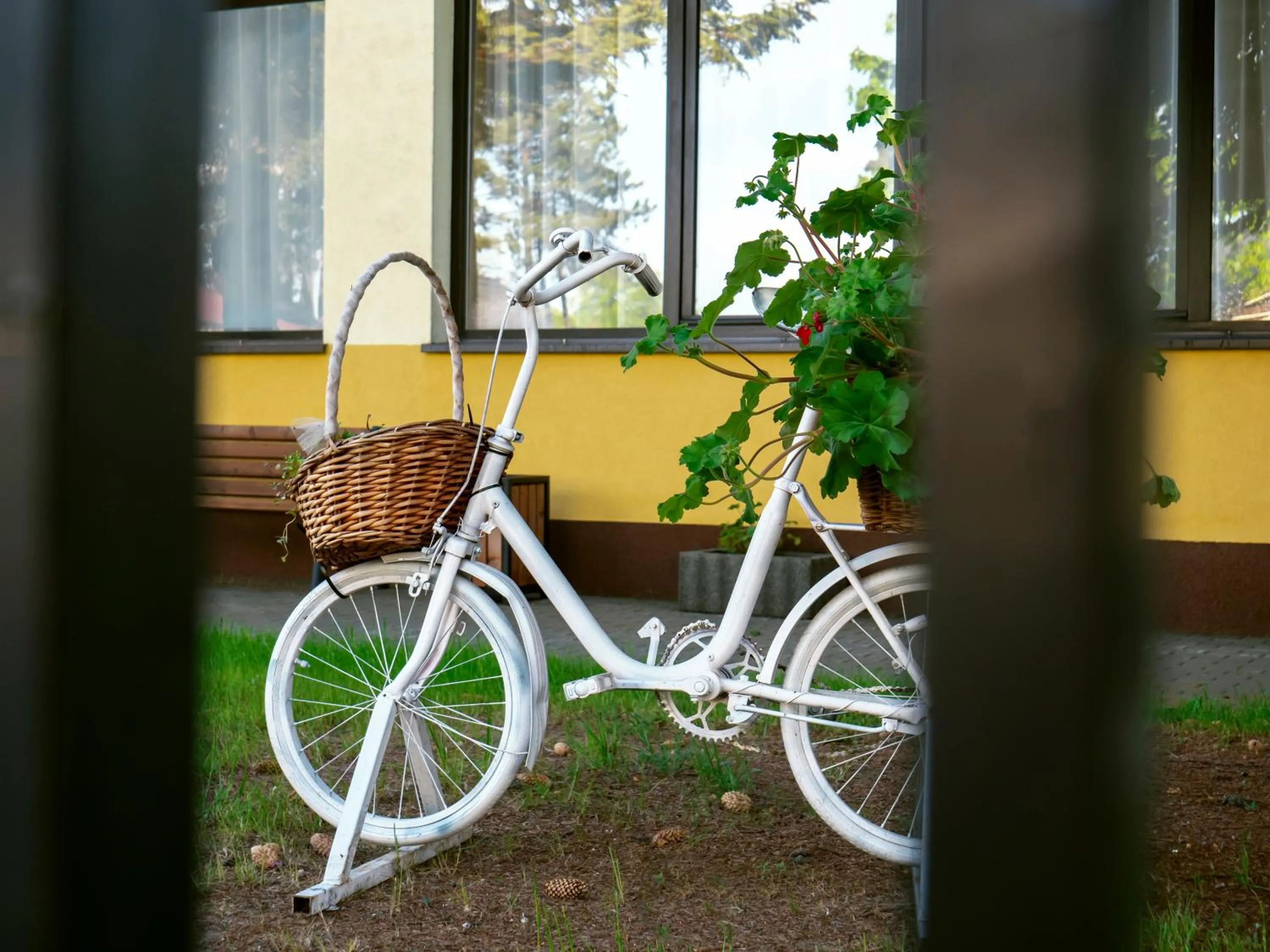 Garden in Słoneczny Brzeg Natura Tour
