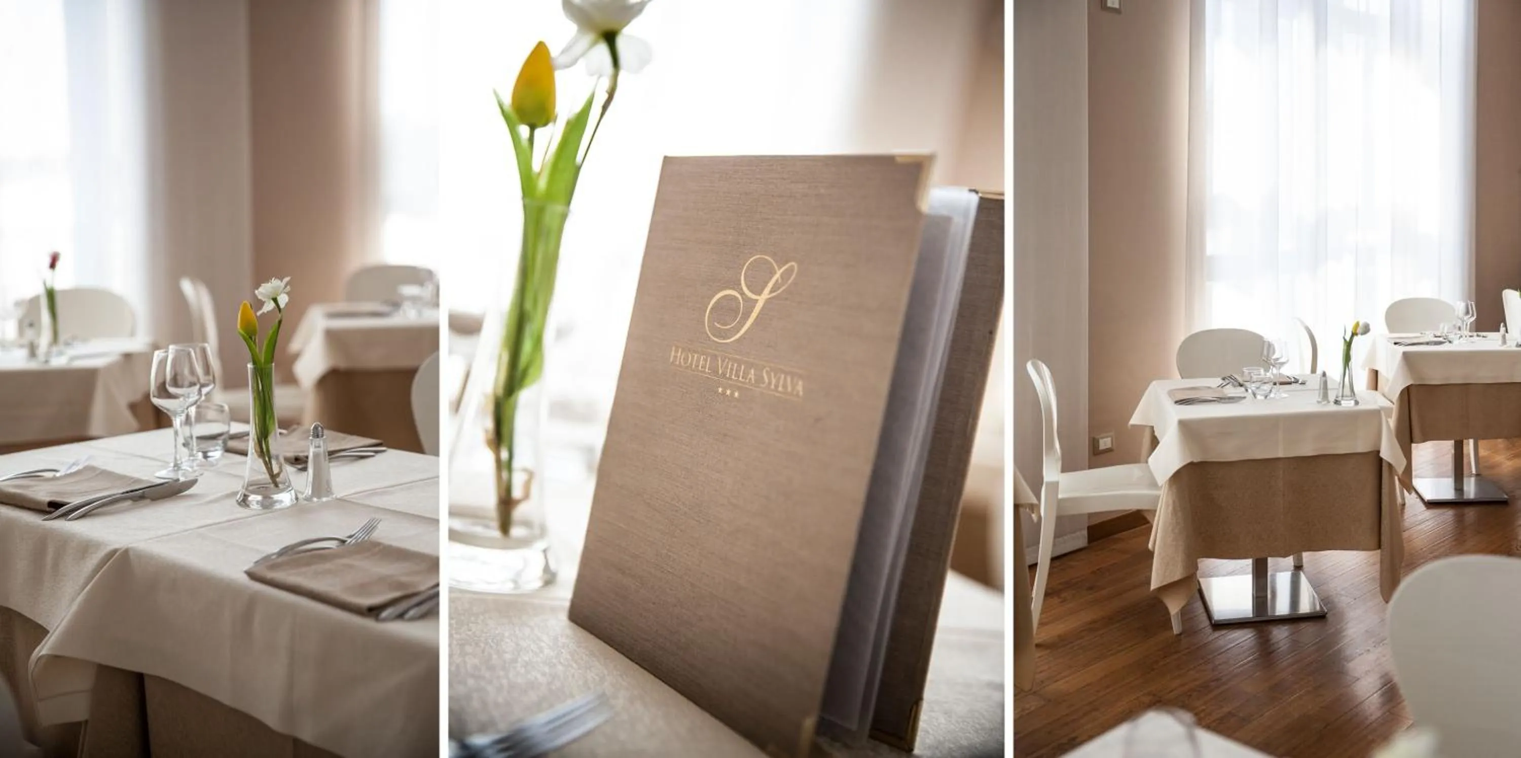 Restaurant/places to eat in Villa Sylva & Spa