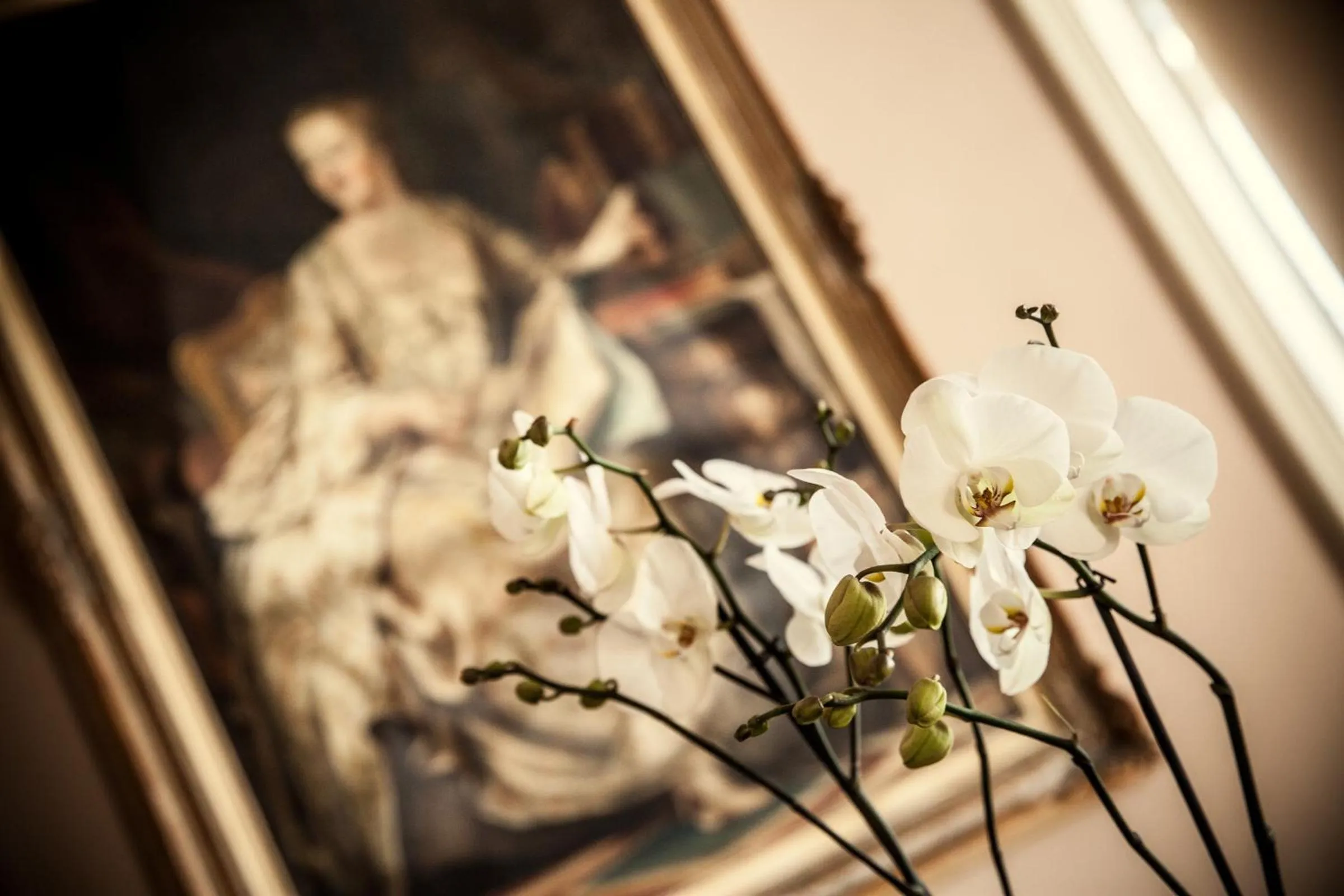 Communal lounge/ TV room in Villa Sylva & Spa