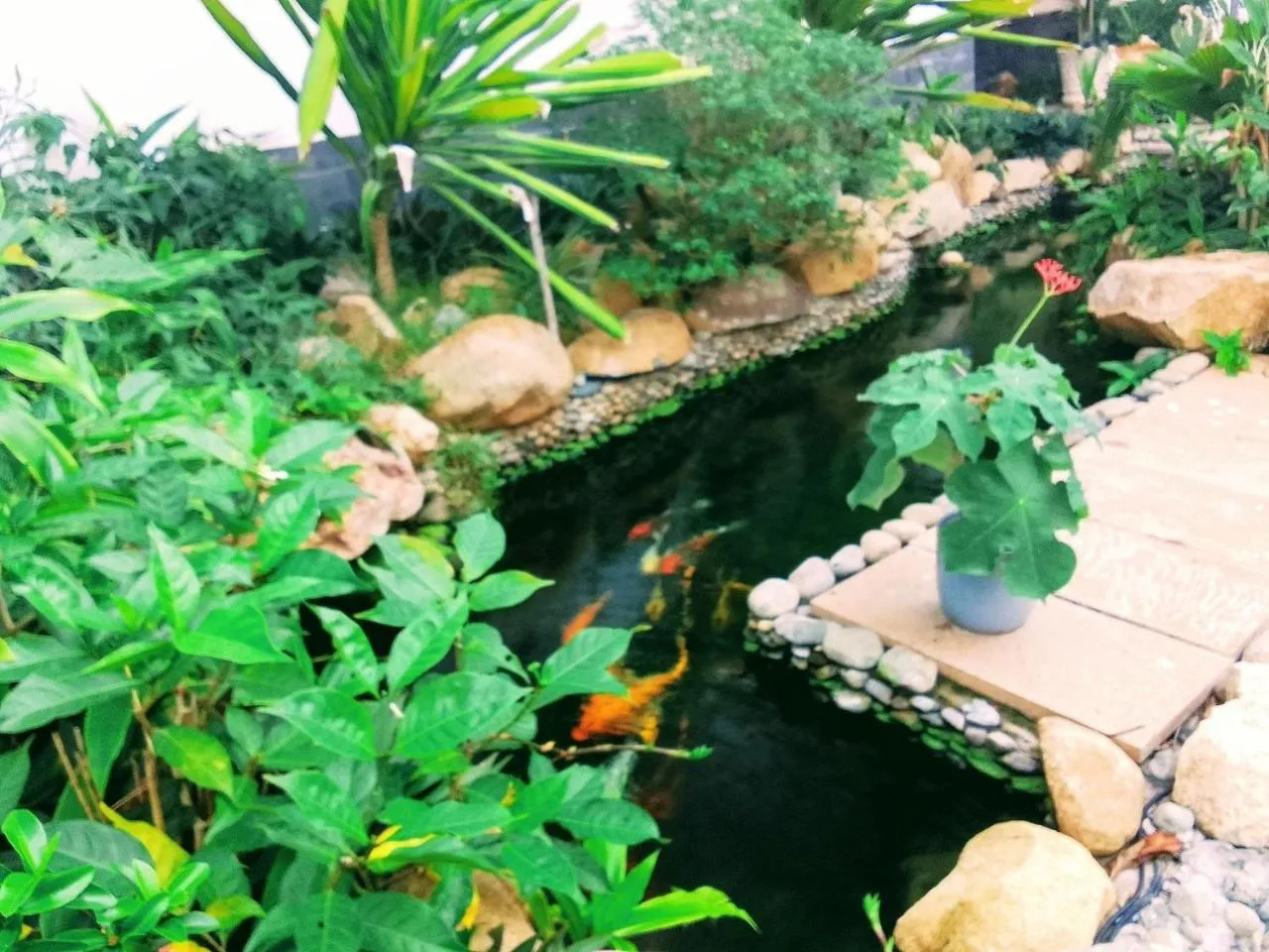 Day in VND Vũng Tàu Hotel & Villa