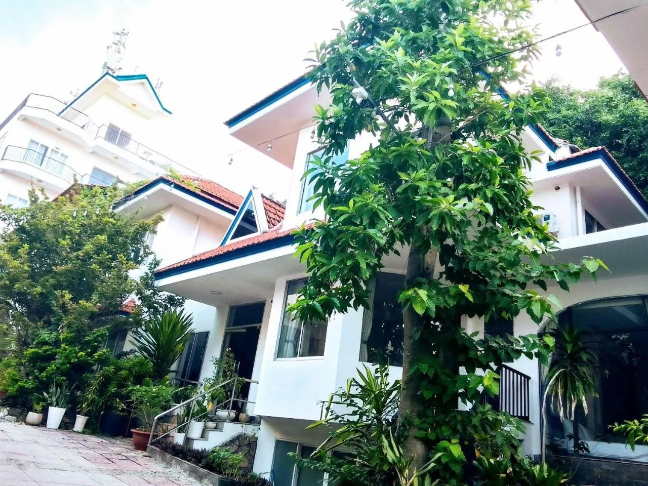 Property building in VND Vũng Tàu Hotel & Villa