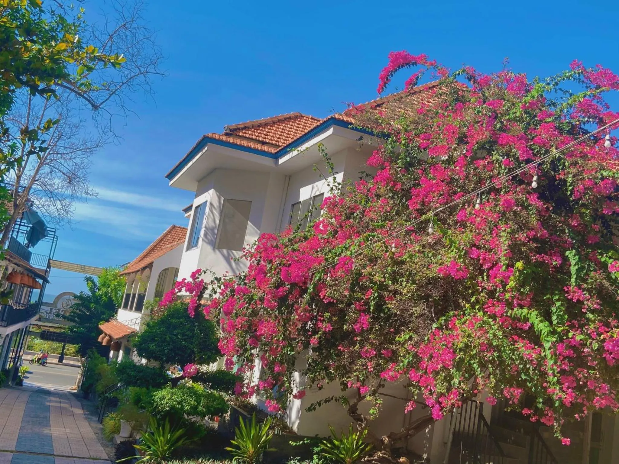 Natural landscape in VND Vũng Tàu Hotel & Villa