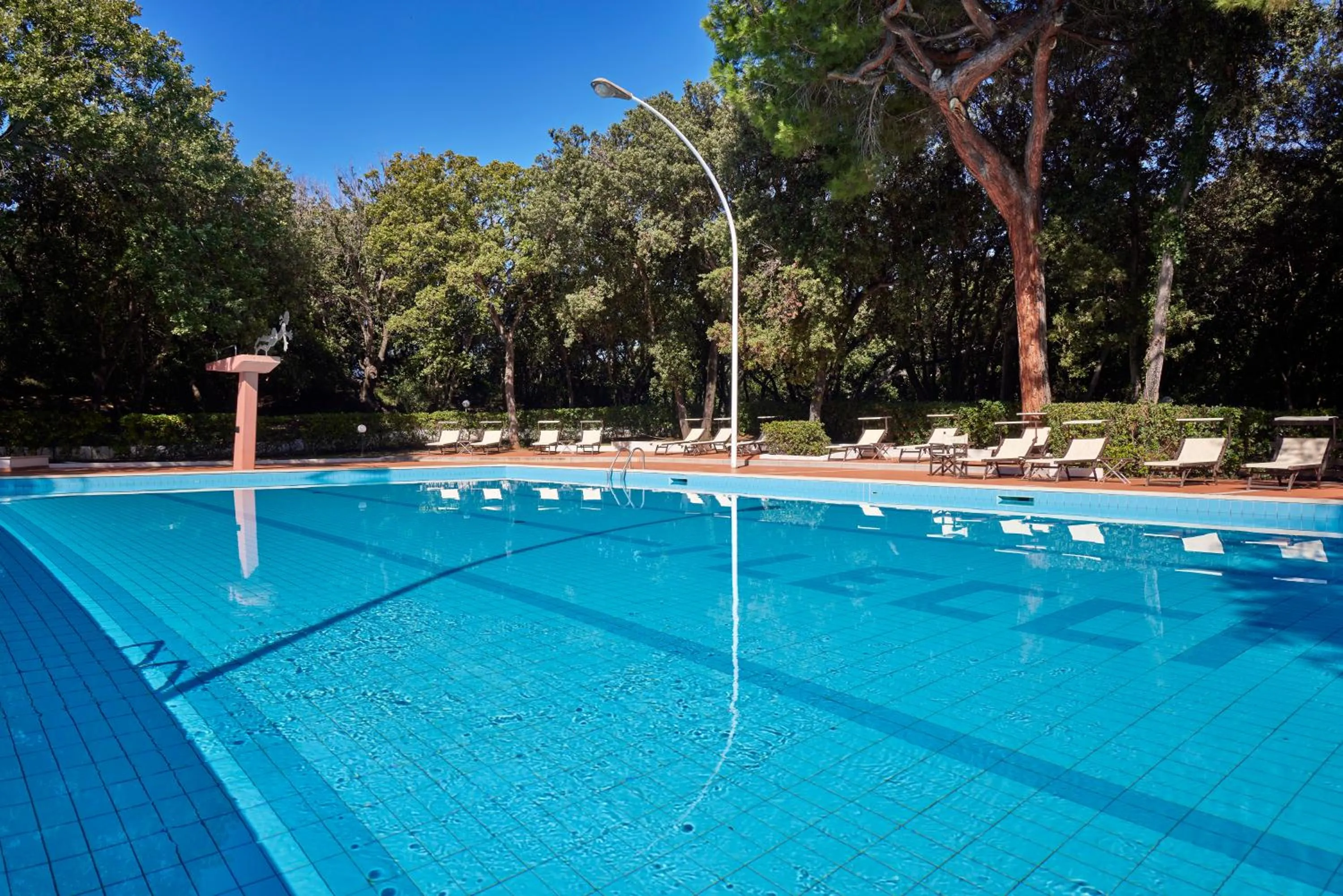 Swimming pool in Park Hotel I Lecci