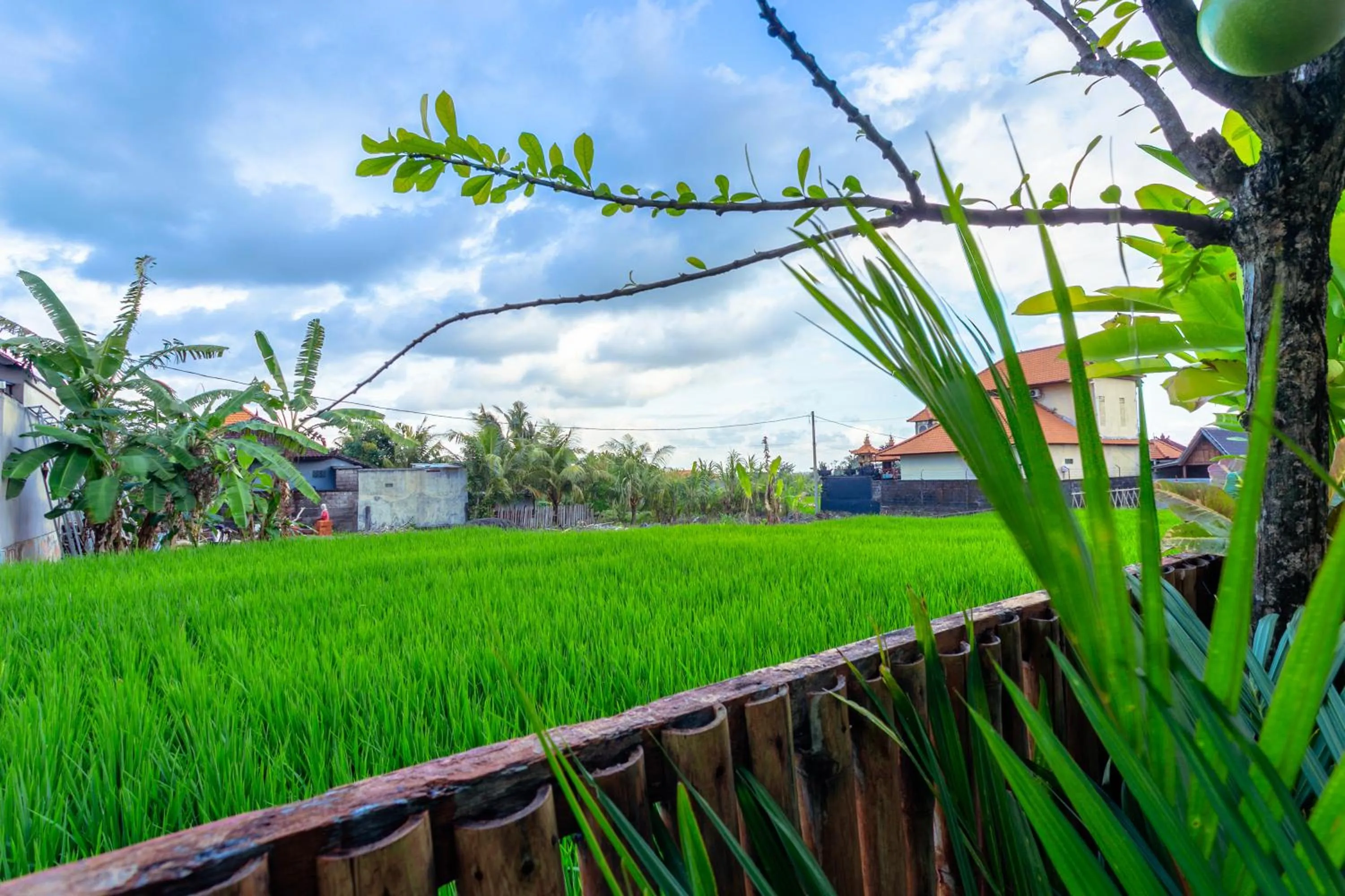 View (from property/room) in Kubu D'Carik Villa & Bungalow by ecommerceloka