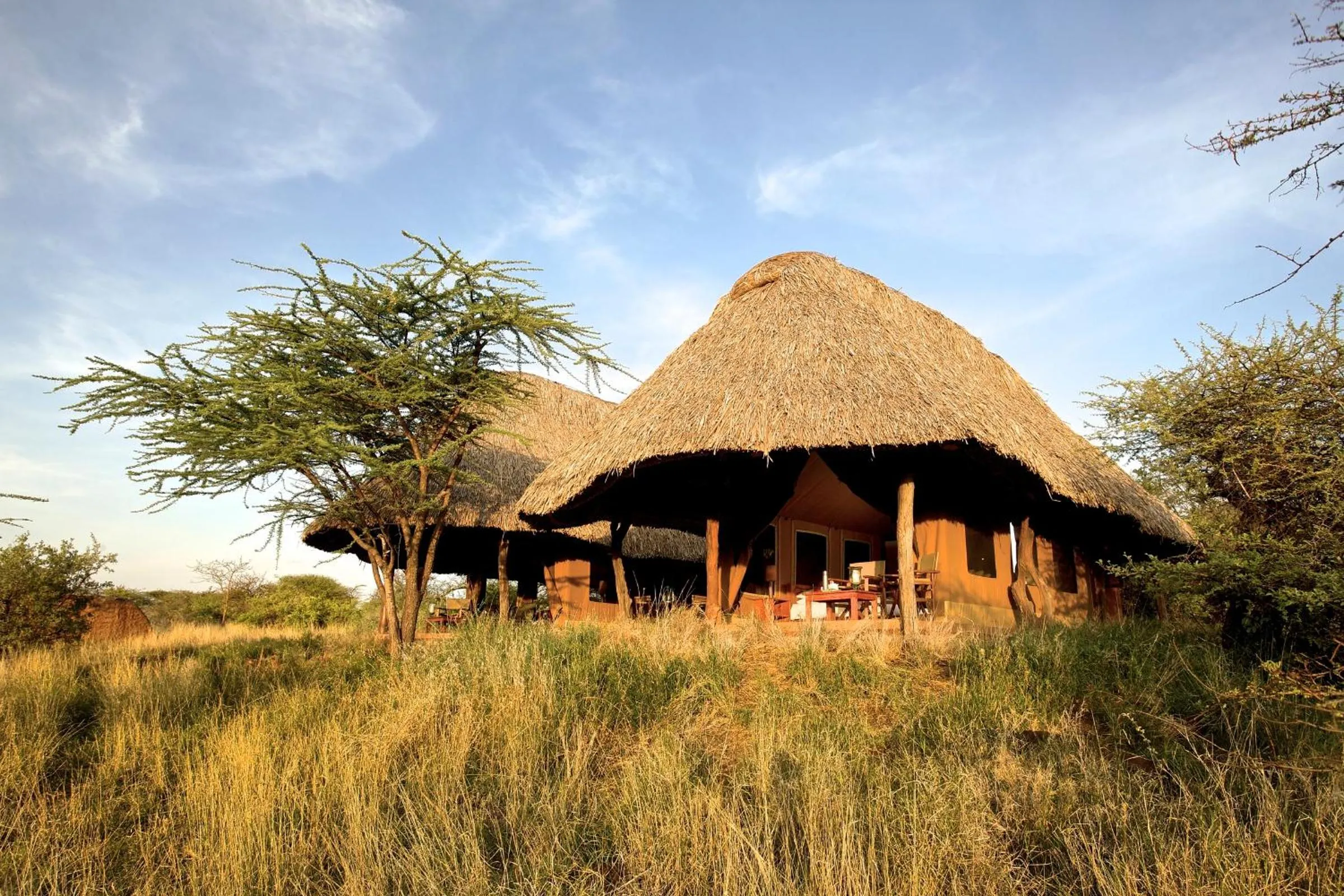 Property building in Elewana Lewa Safari Camp