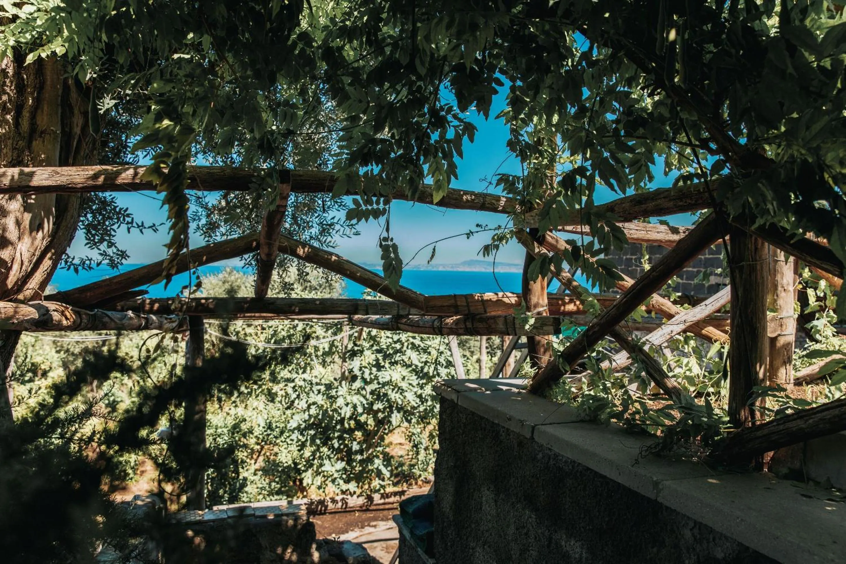 Other in Villa Puolo - Sorrento