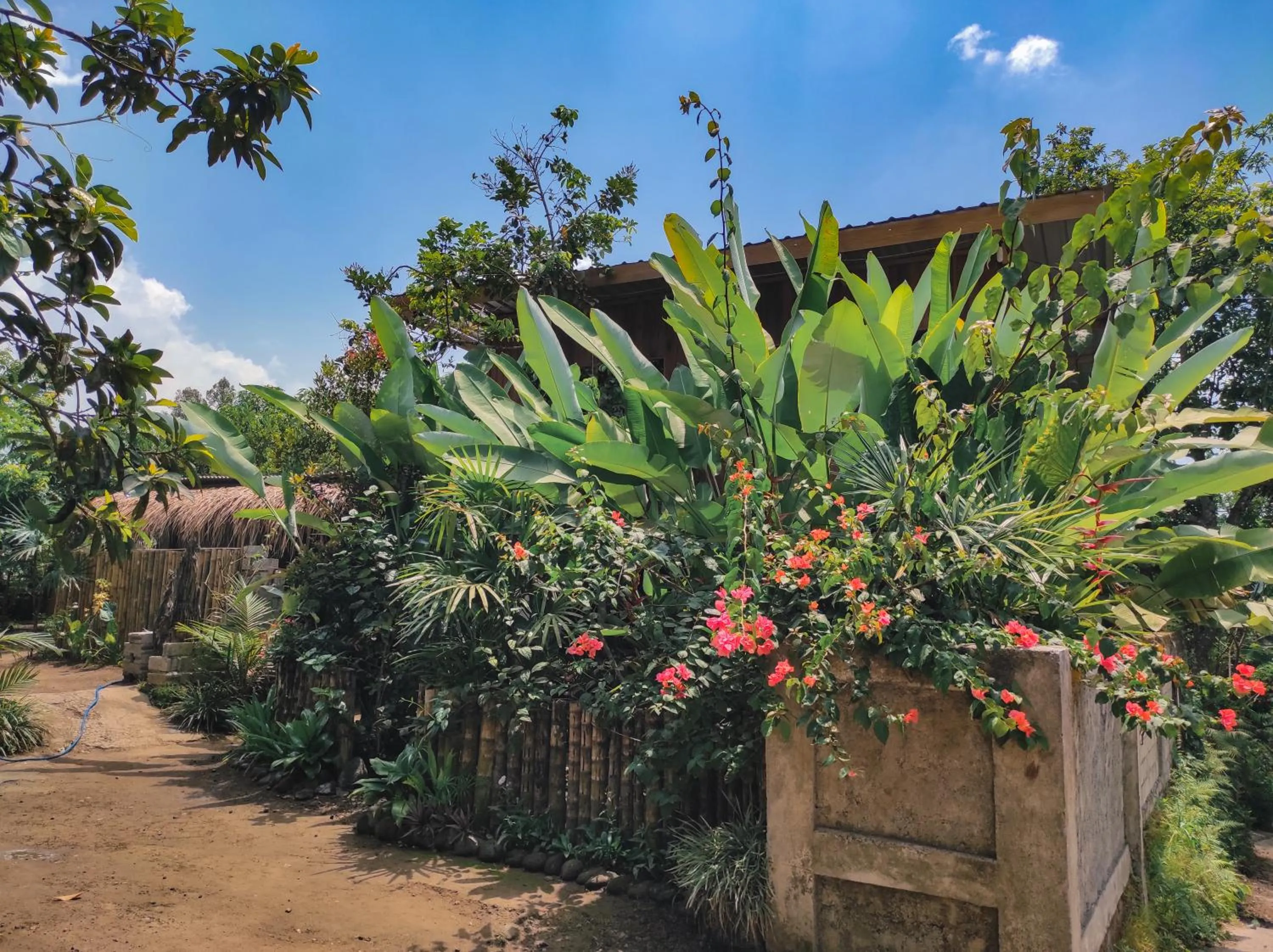 Garden in Tastura Homestay