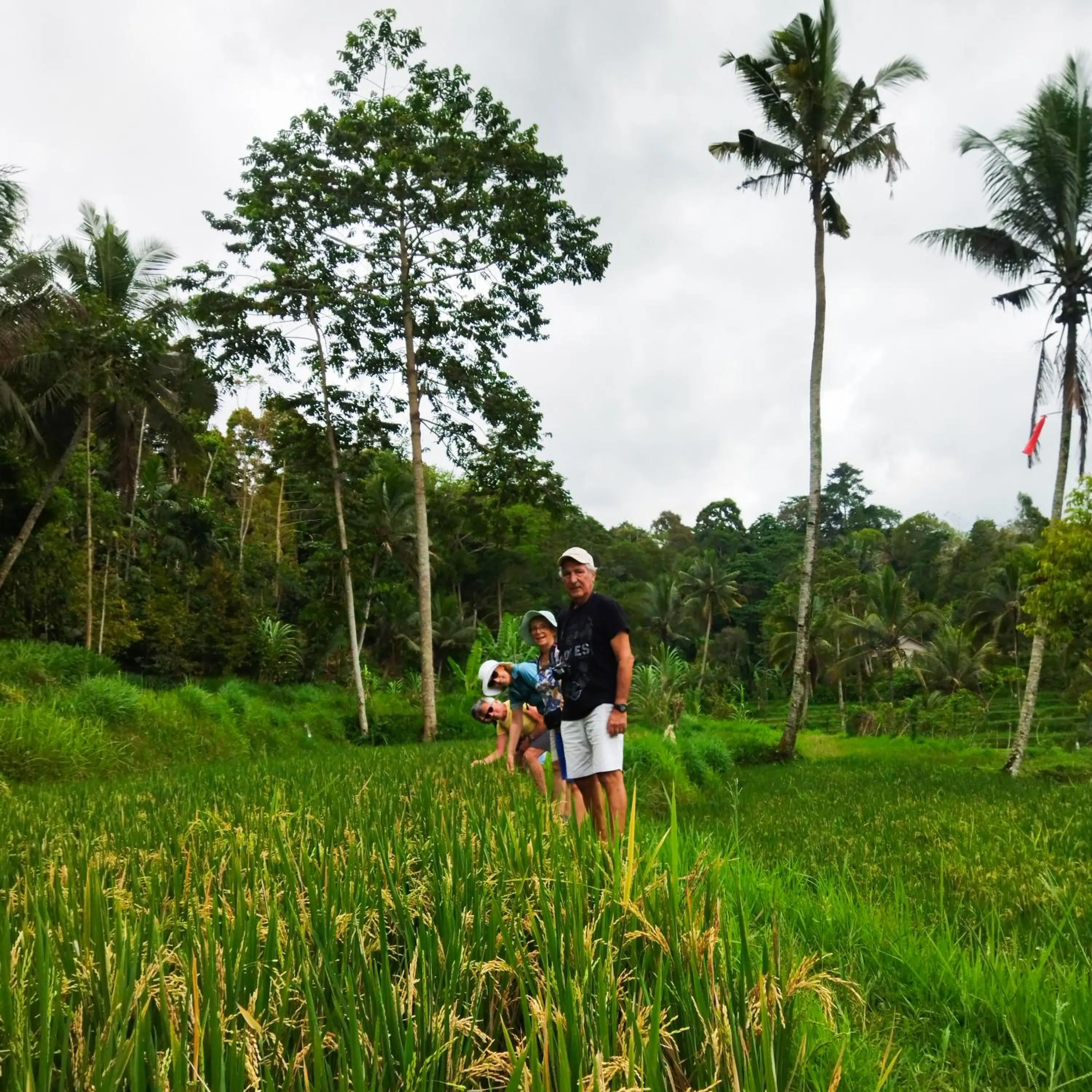 Activities in Tastura Homestay