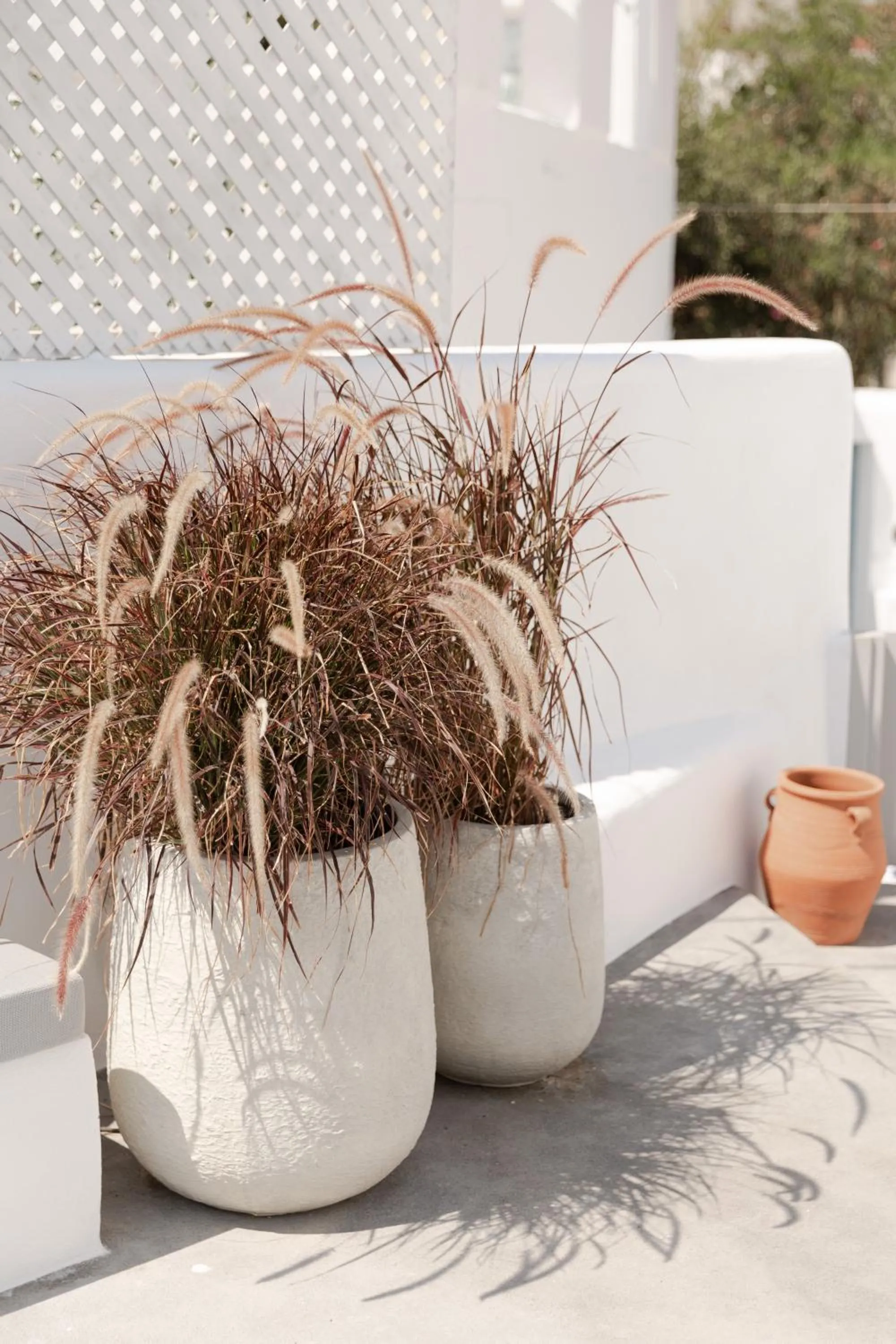 Patio in Cydonia Caves