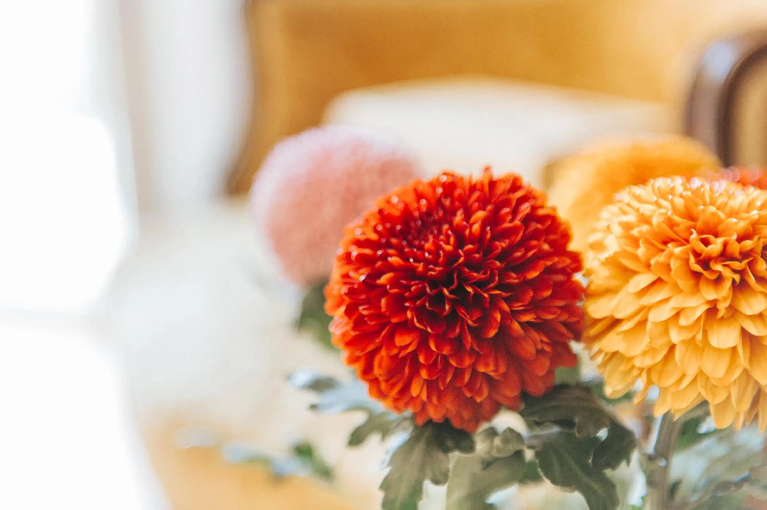 Decorative detail in Hotel Aganoor