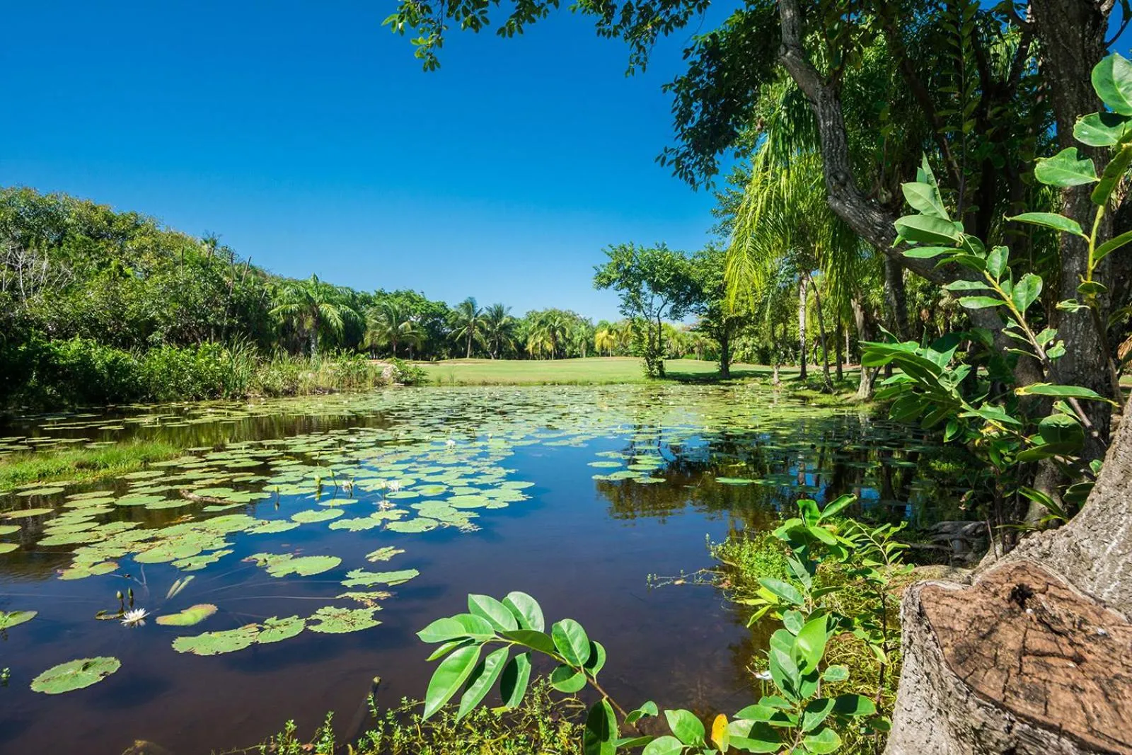 Golfcourse in Casa Jaguar