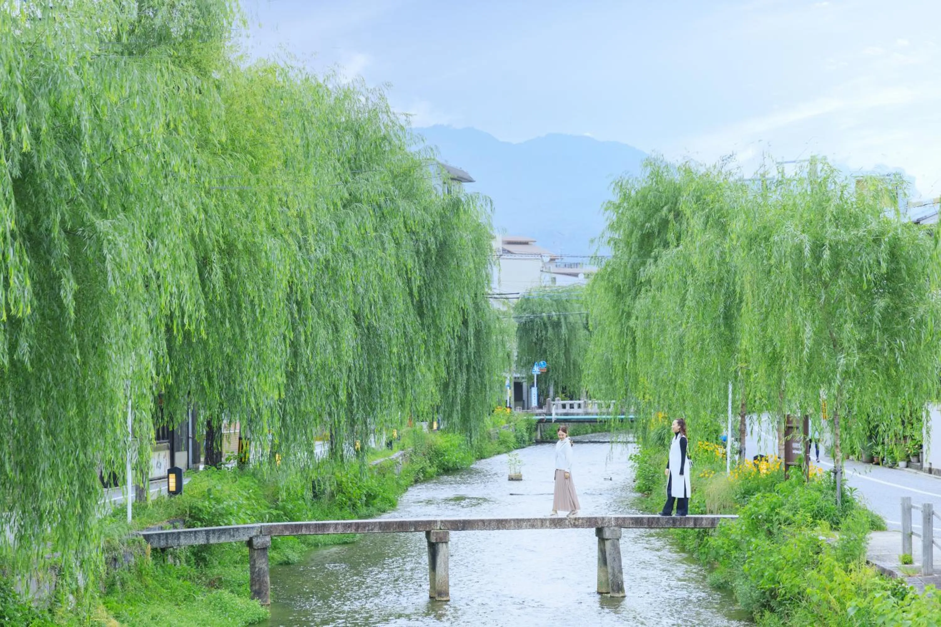Natural landscape in OMO5 Kyoto Gion by Hoshino Resorts