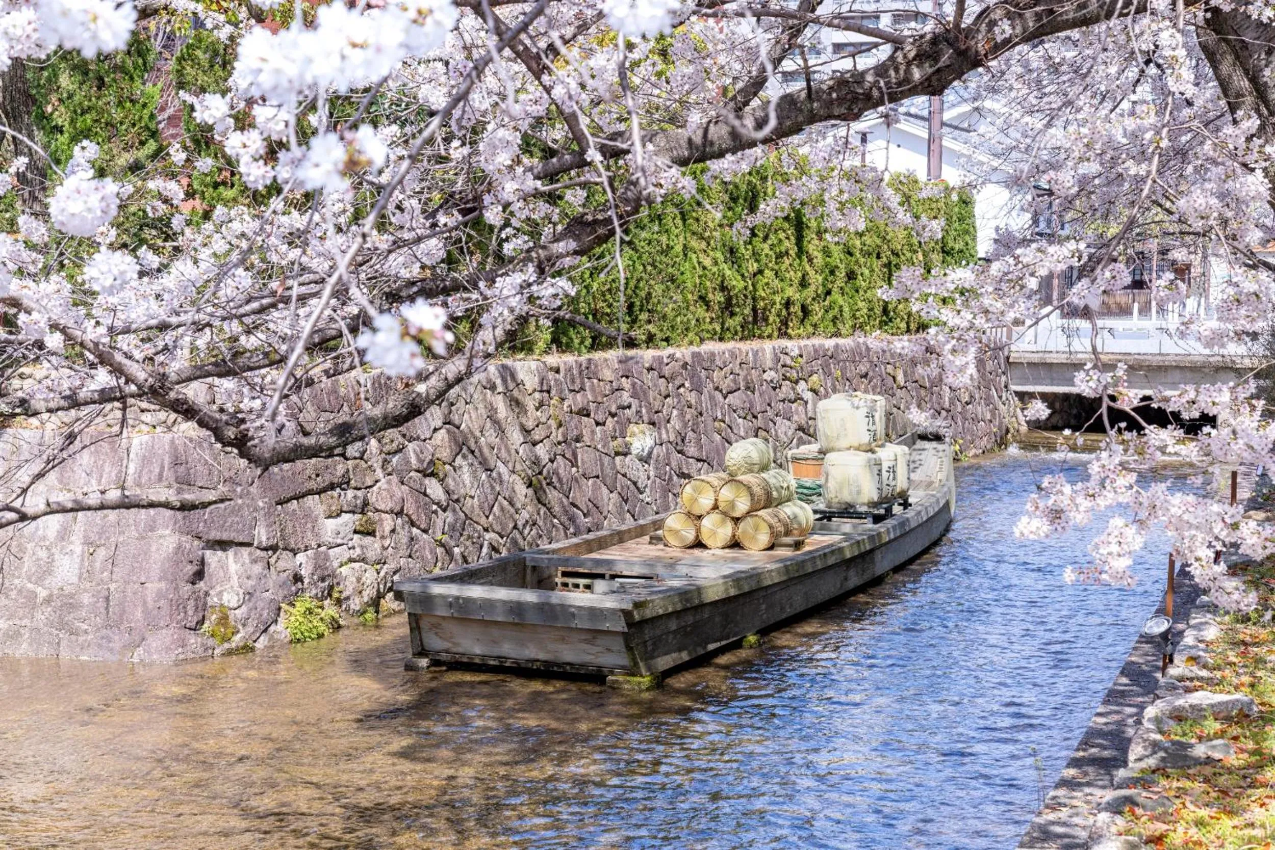 Spring in OMO5 Kyoto Sanjo by Hoshino Resorts
