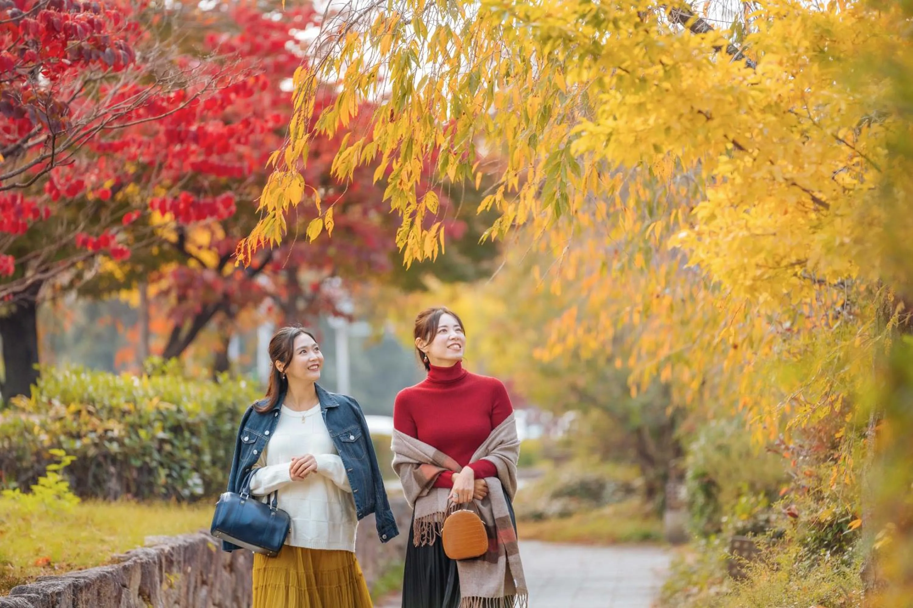 Nearby landmark in OMO5 Kyoto Sanjo by Hoshino Resorts